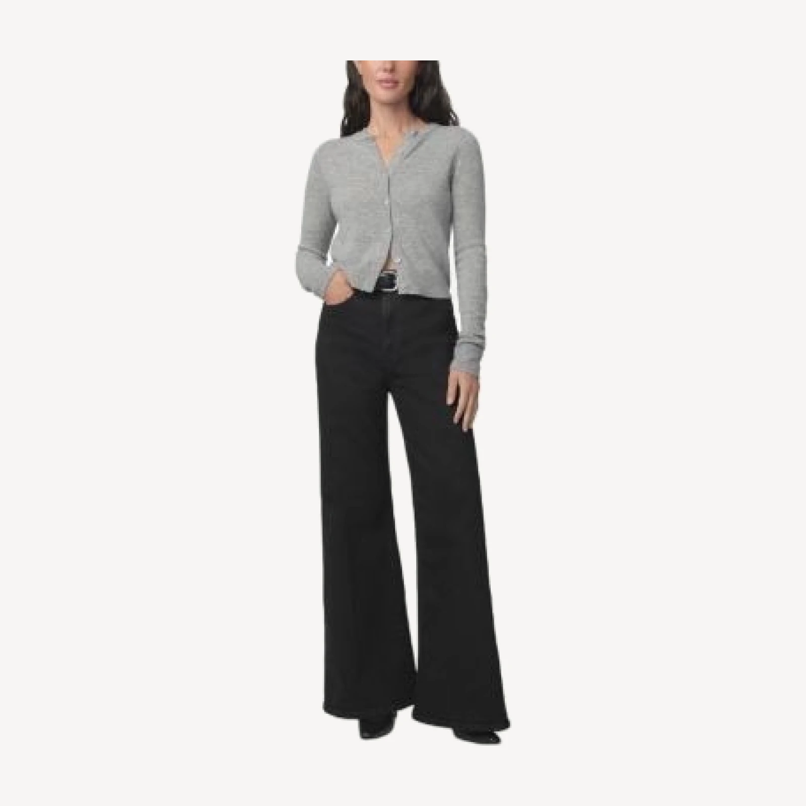 Joe's Jeans The Cher Petites Wide Leg Jeans in Inkblot