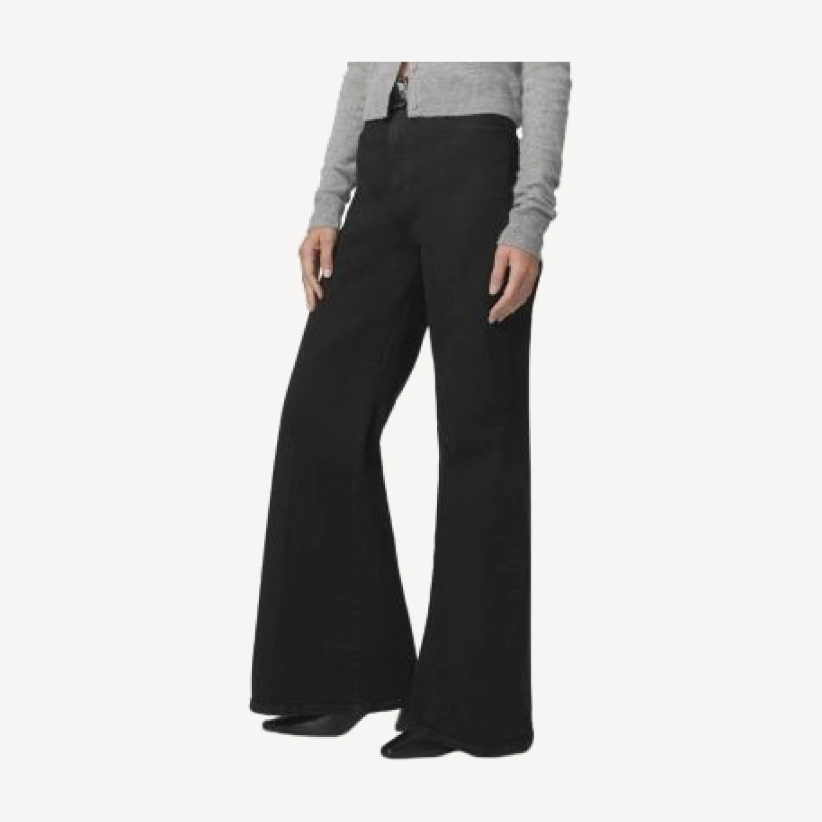 Joe's Jeans The Cher Petites Wide Leg Jeans in Inkblot