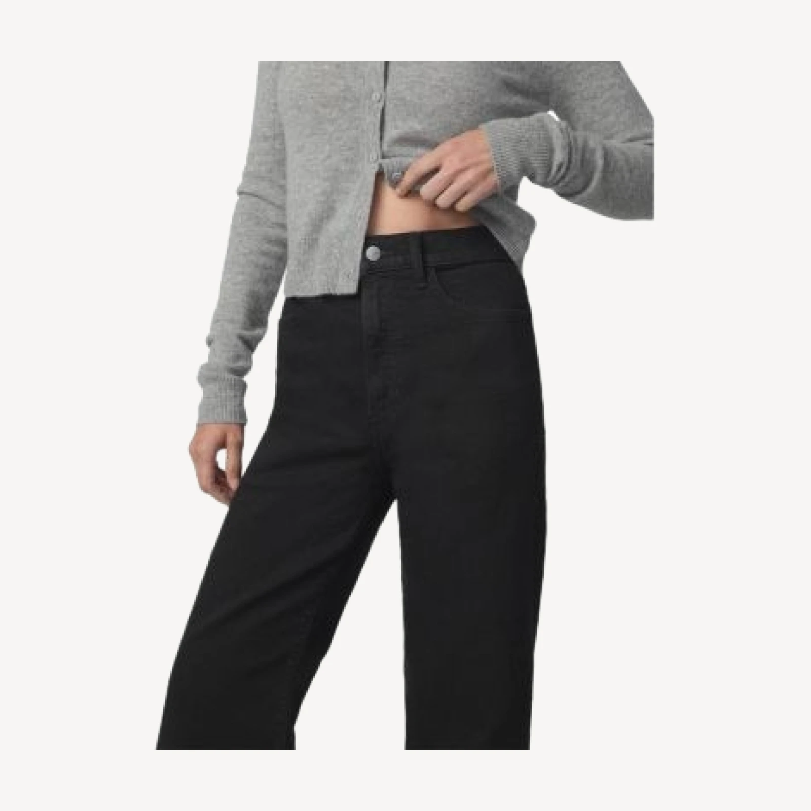 Joe's Jeans The Cher Petites Wide Leg Jeans in Inkblot