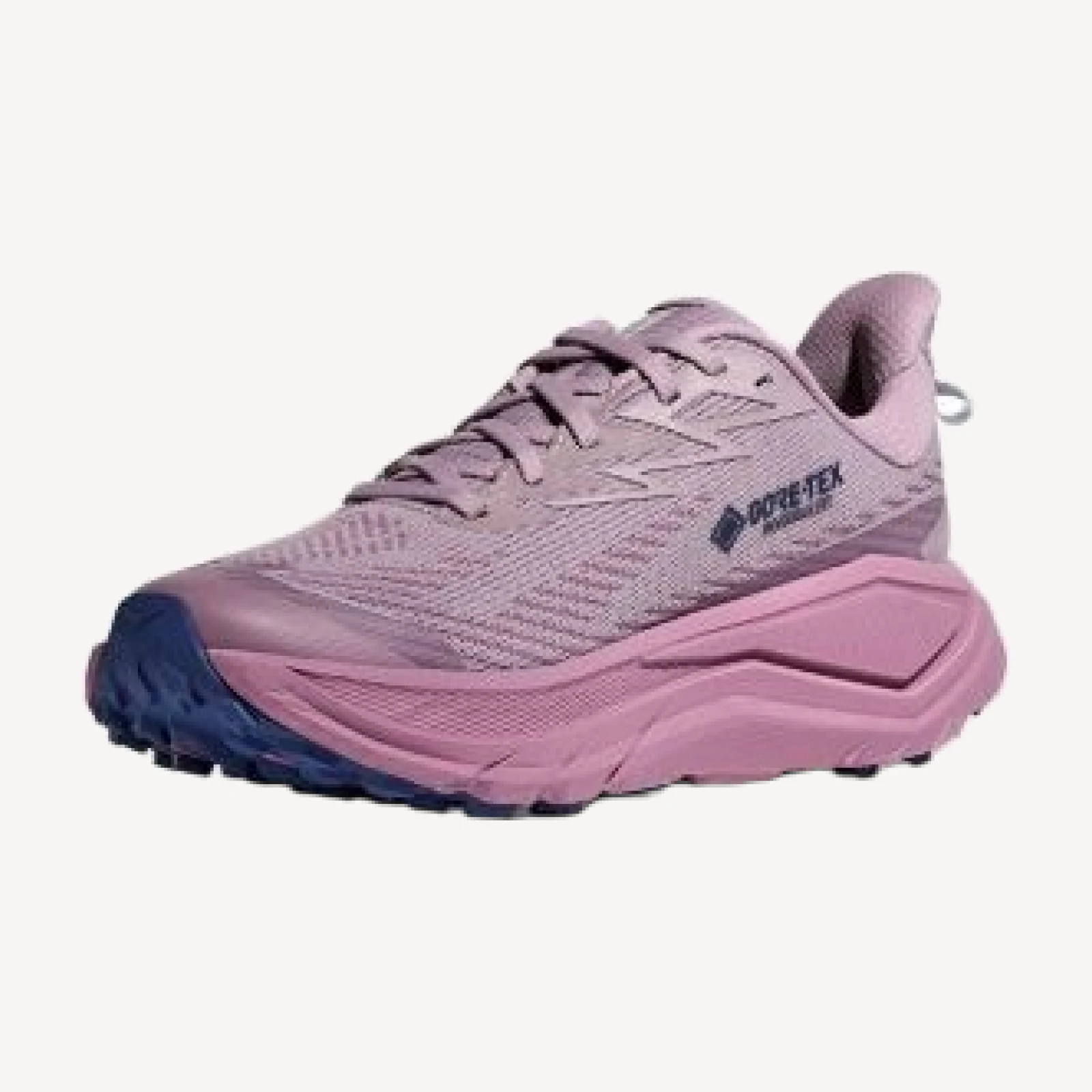 Hoka Women's Challenger 8 Gtx Running Sneakers