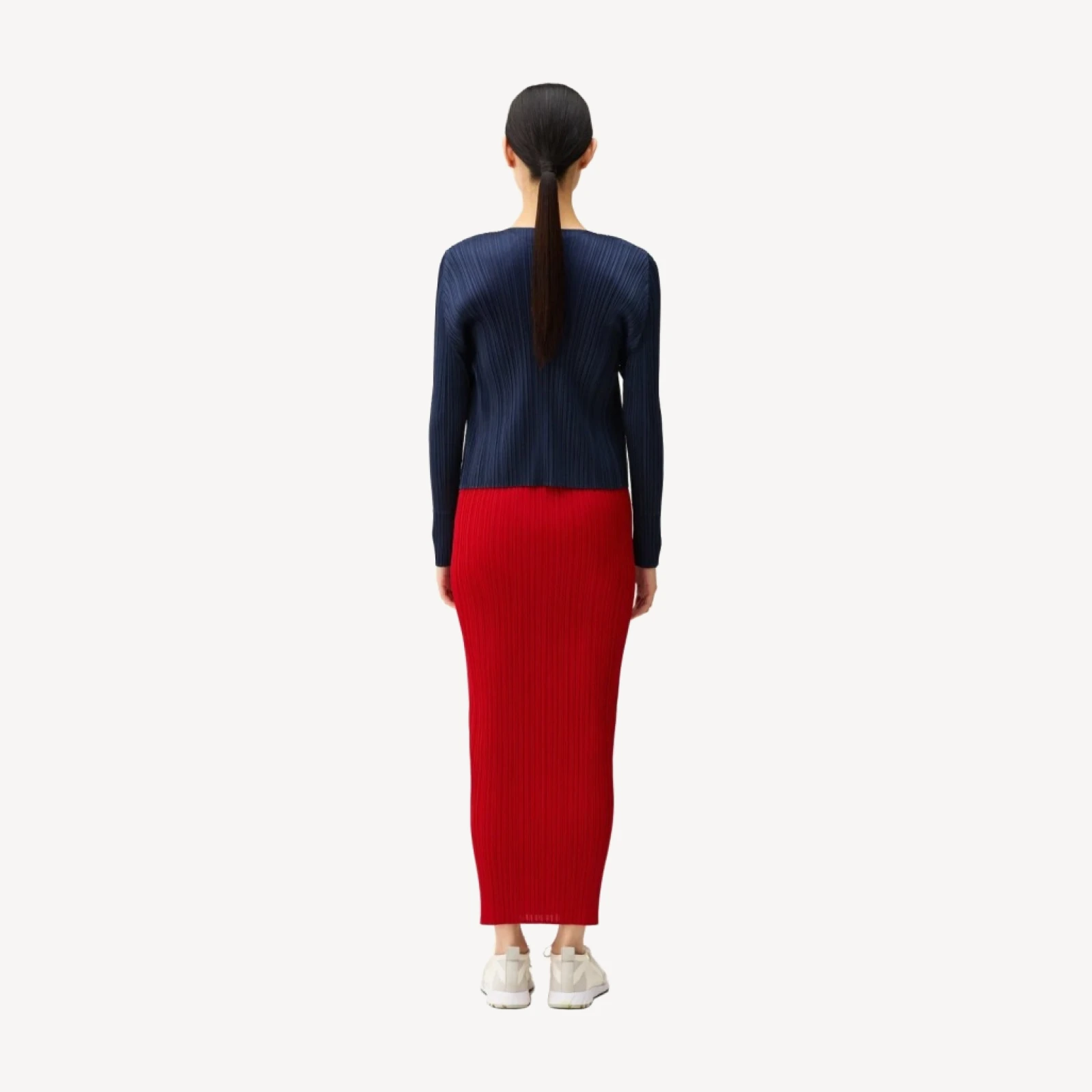 NEW COLORFUL BASICS 5