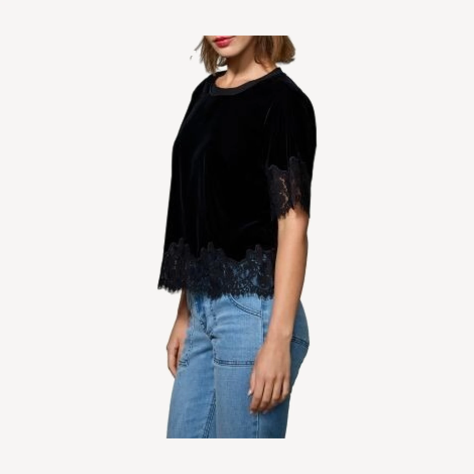 Sanctuary One of a Kind Velvet Lace Top