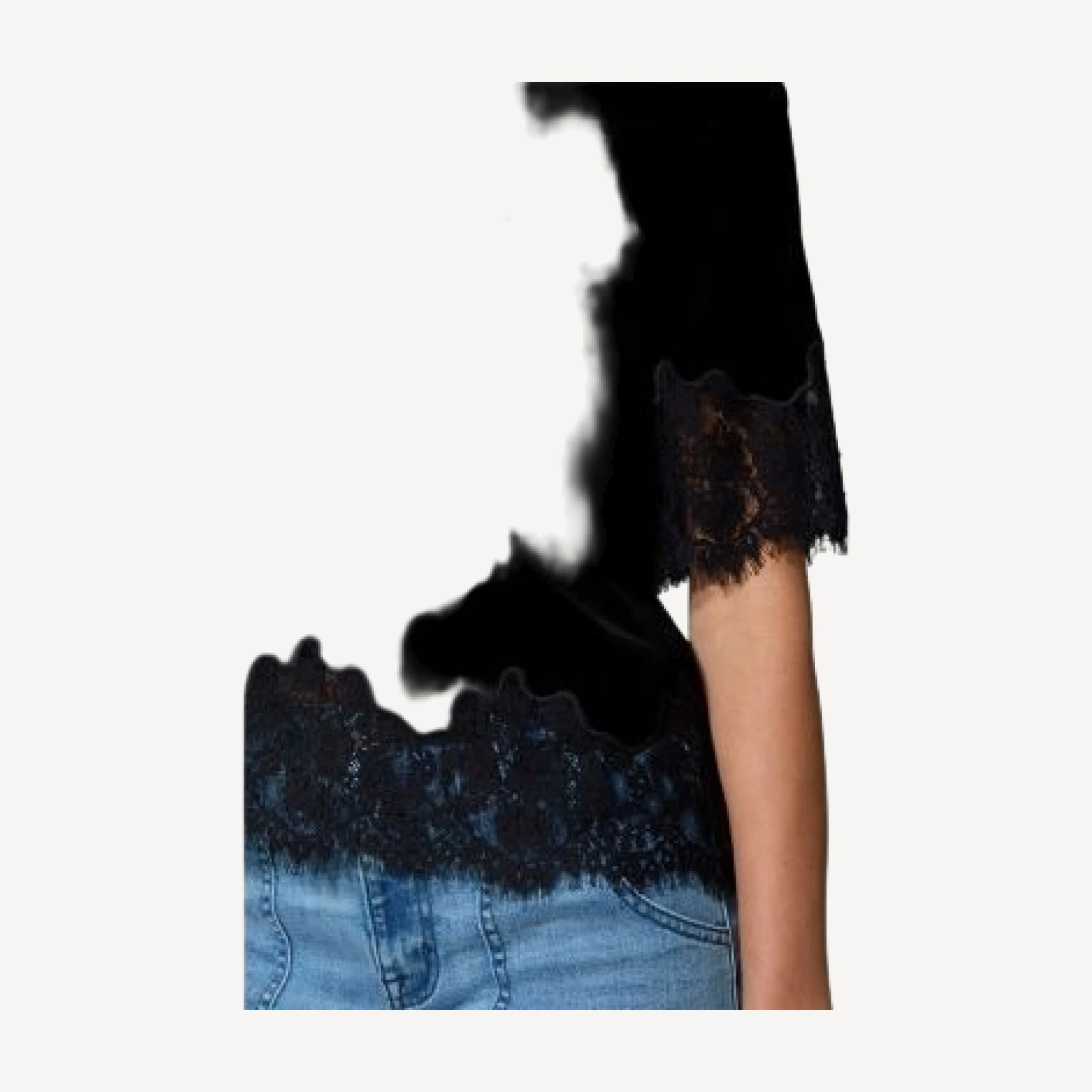 Sanctuary One of a Kind Velvet Lace Top
