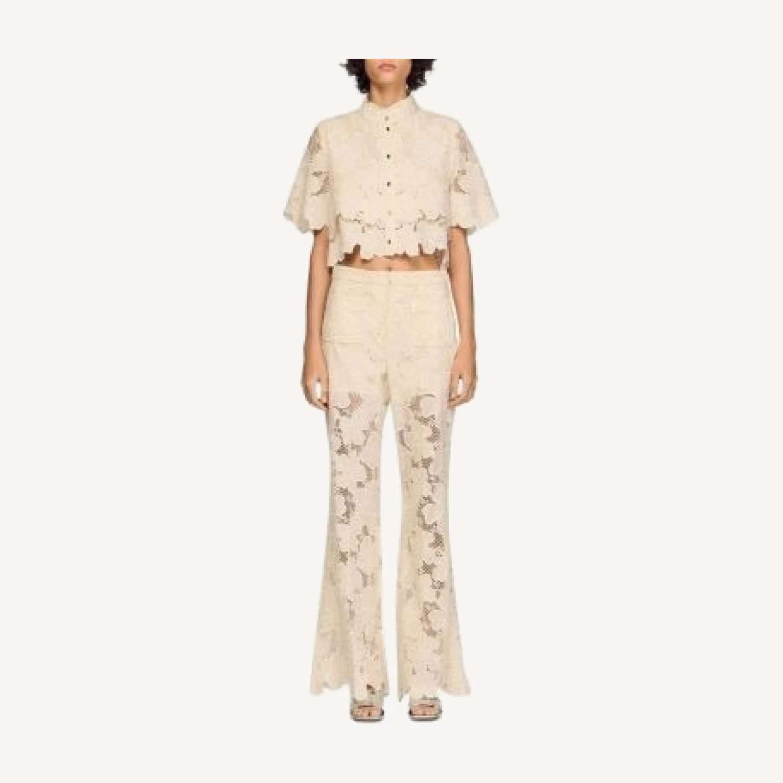 Sandro Ame Cropped Floral Guipure Lace Shirt