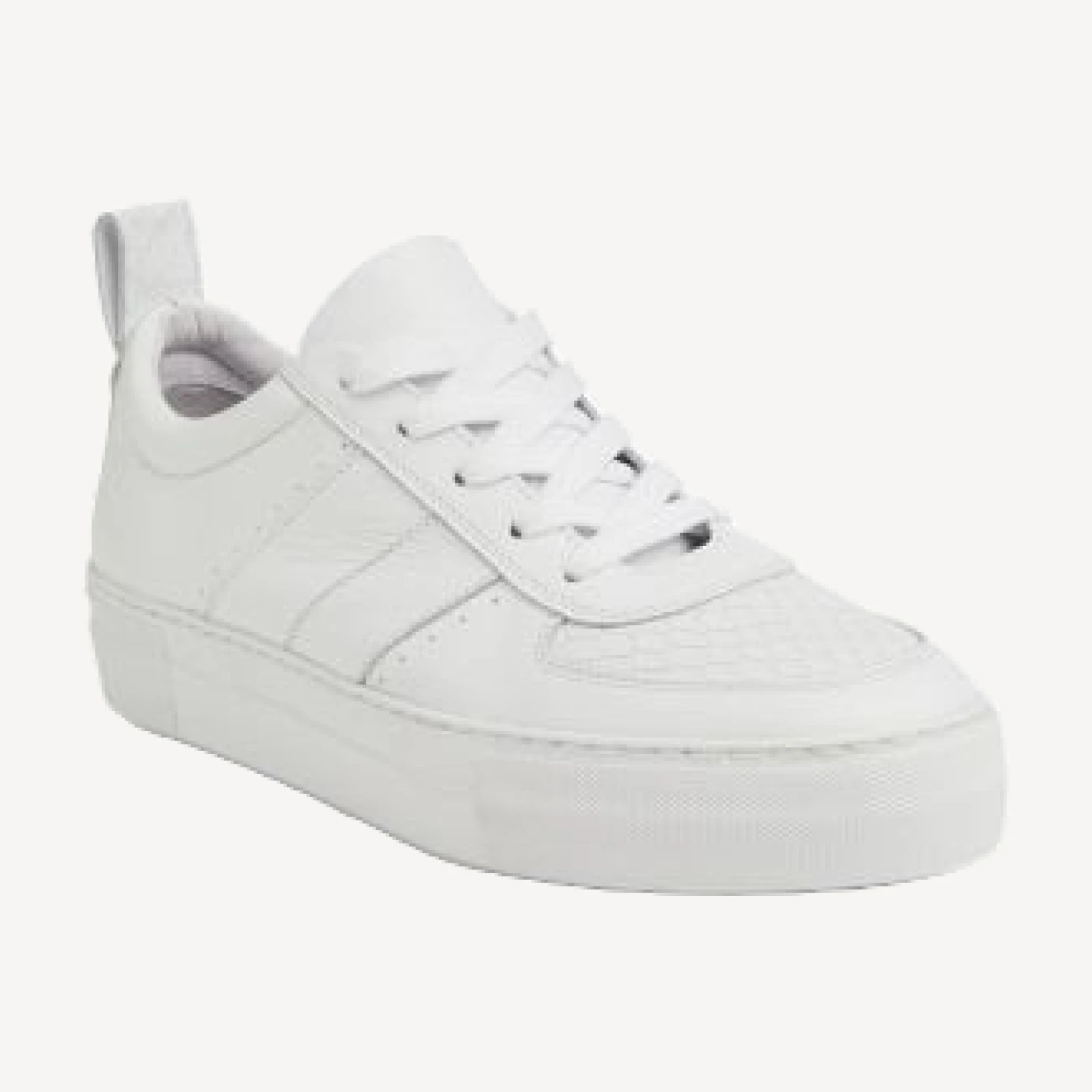 Whistles Women's Anna Snake Deep Sole Trainer