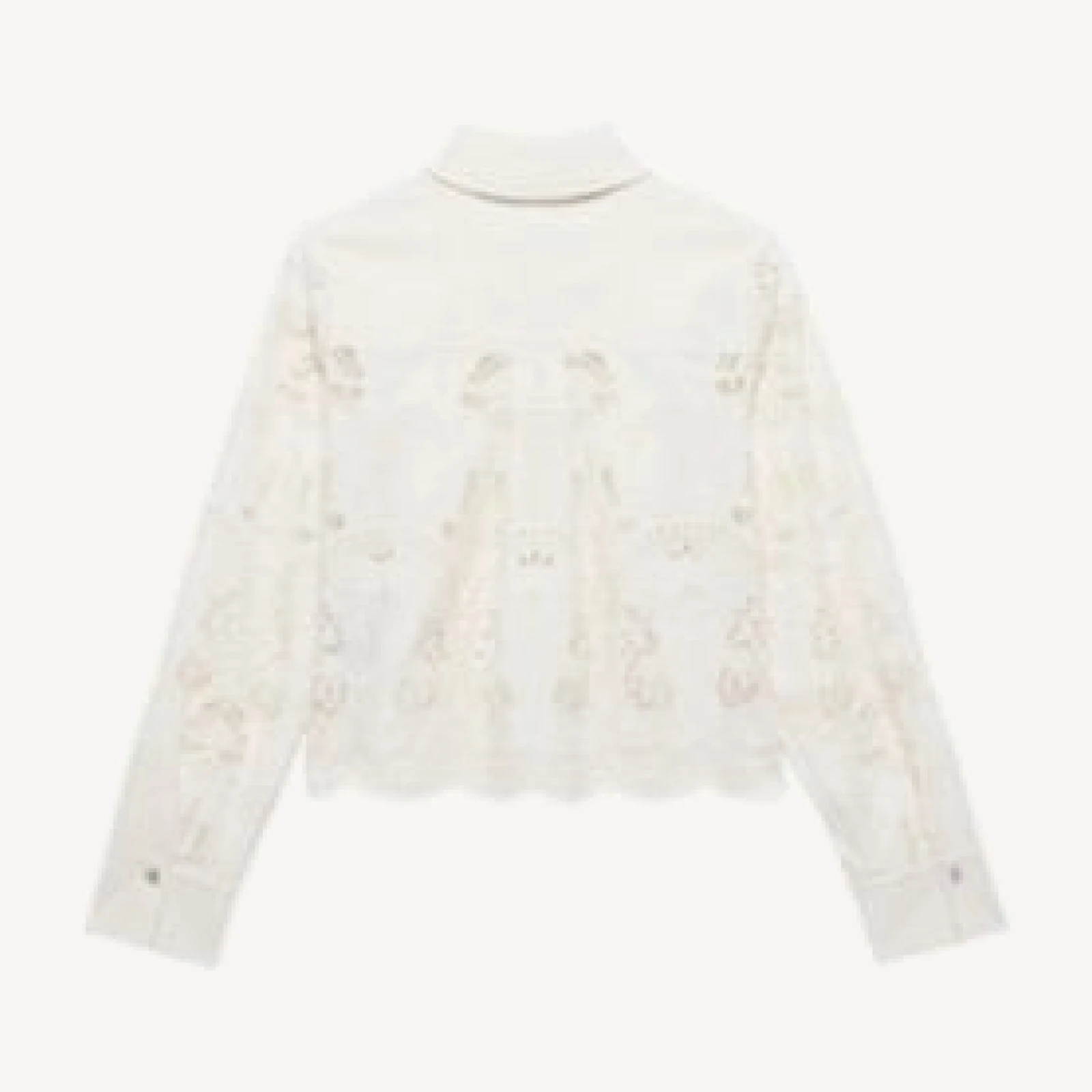 Mint Velvet Women's Crochet Cropped Shirt
