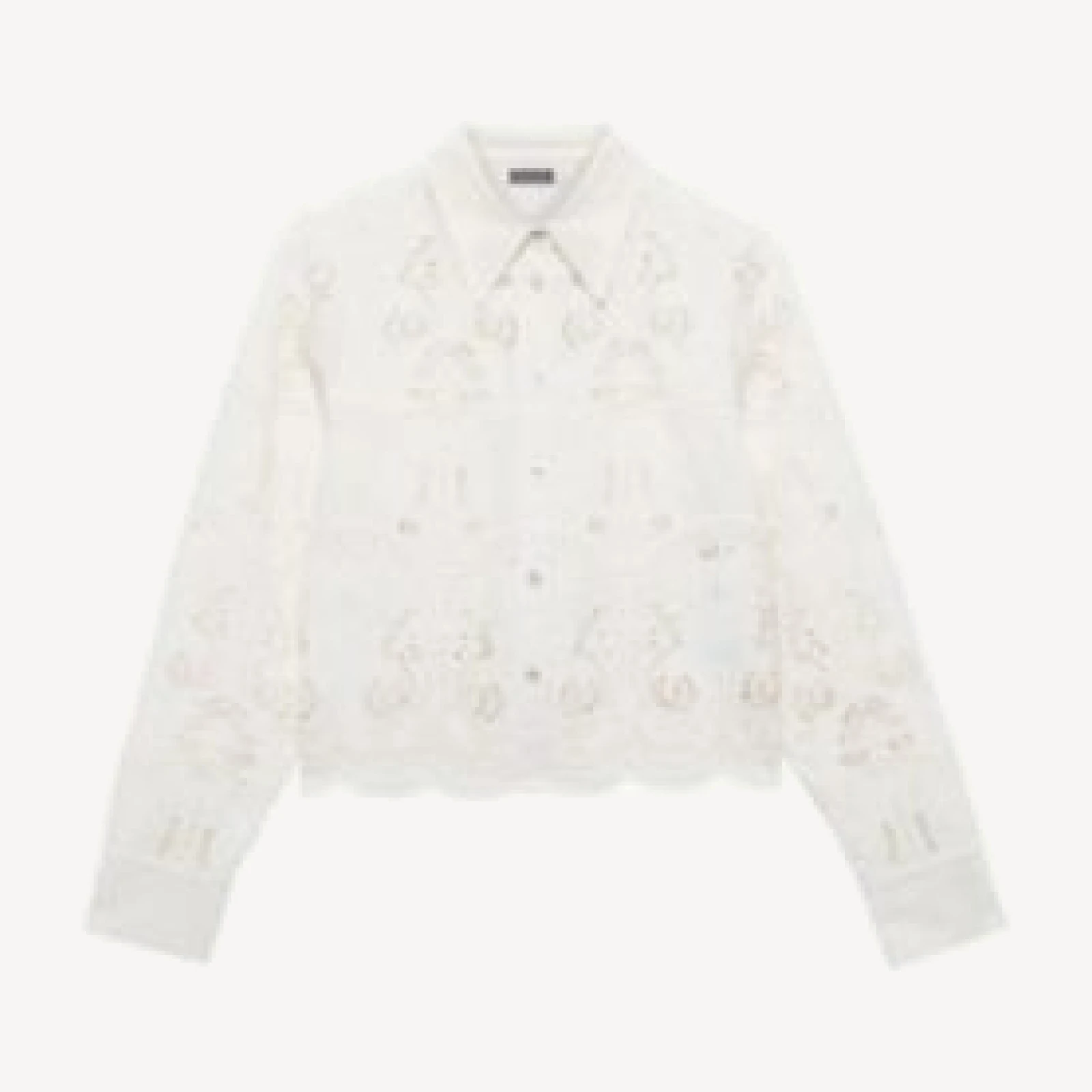 Mint Velvet Women's Crochet Cropped Shirt