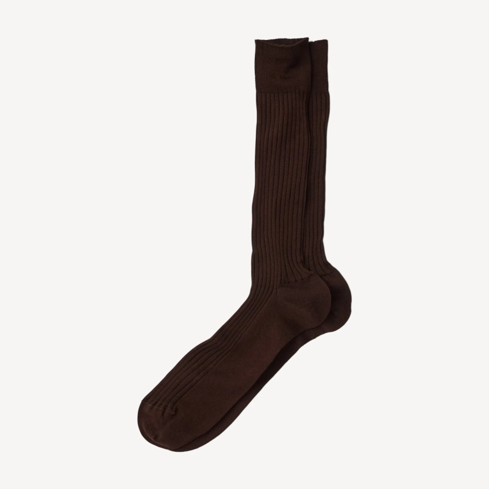 Chocolate Corgi Ribbed Cotton Dress Sock