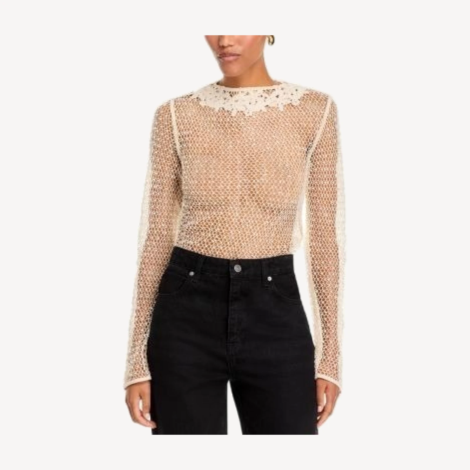 Frame Mesh Glimmer Long Sleeve Sheer Top
