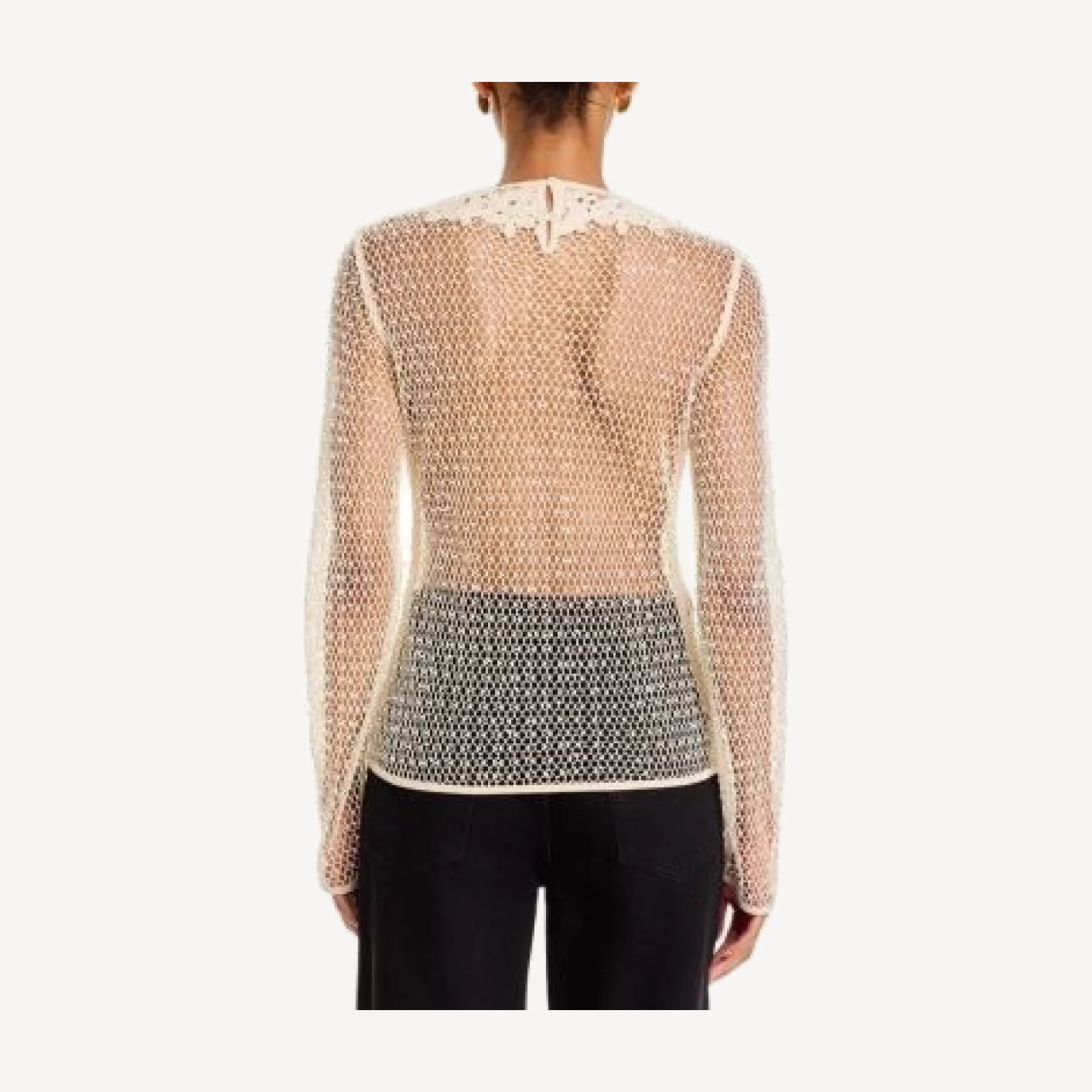 Frame Mesh Glimmer Long Sleeve Sheer Top