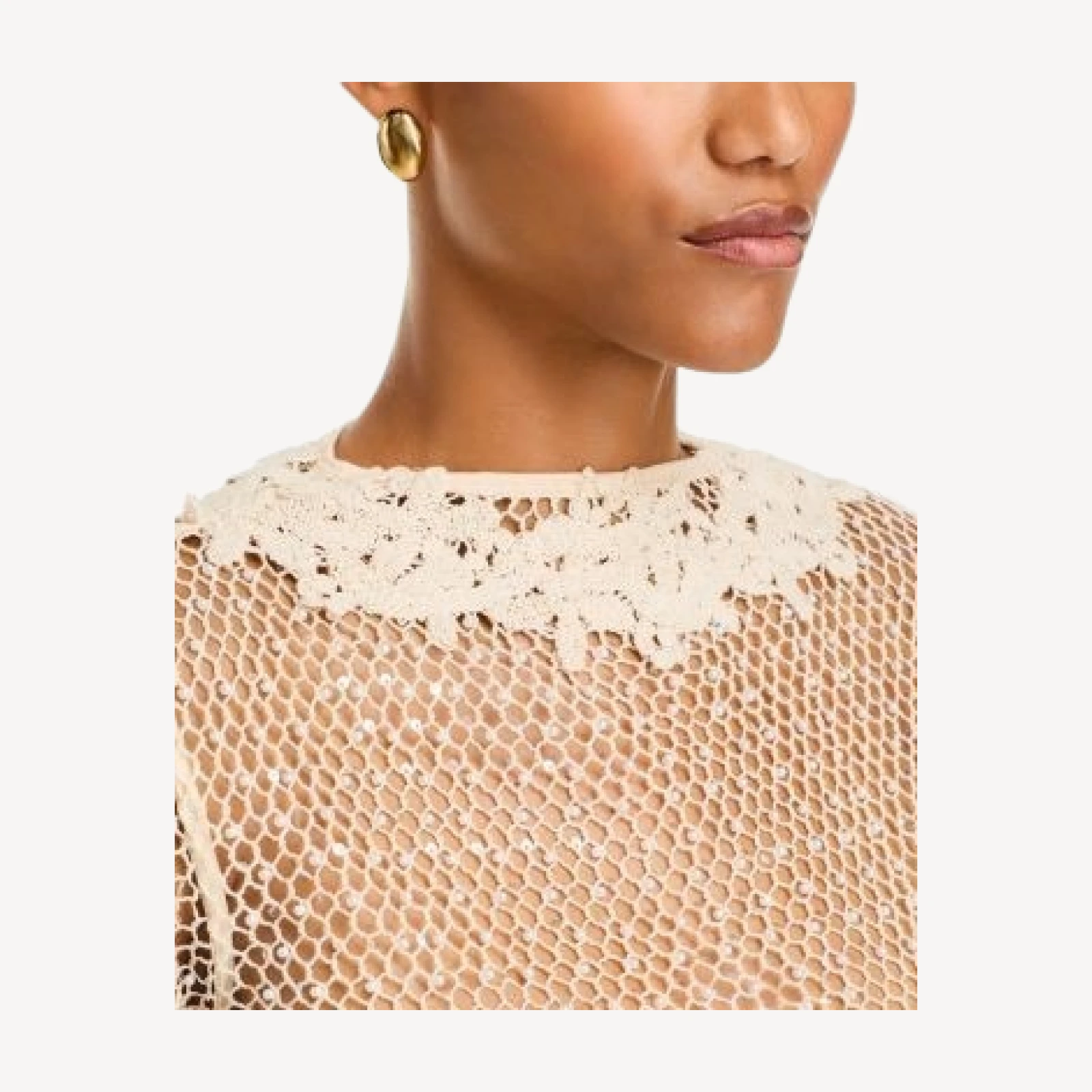 Frame Mesh Glimmer Long Sleeve Sheer Top