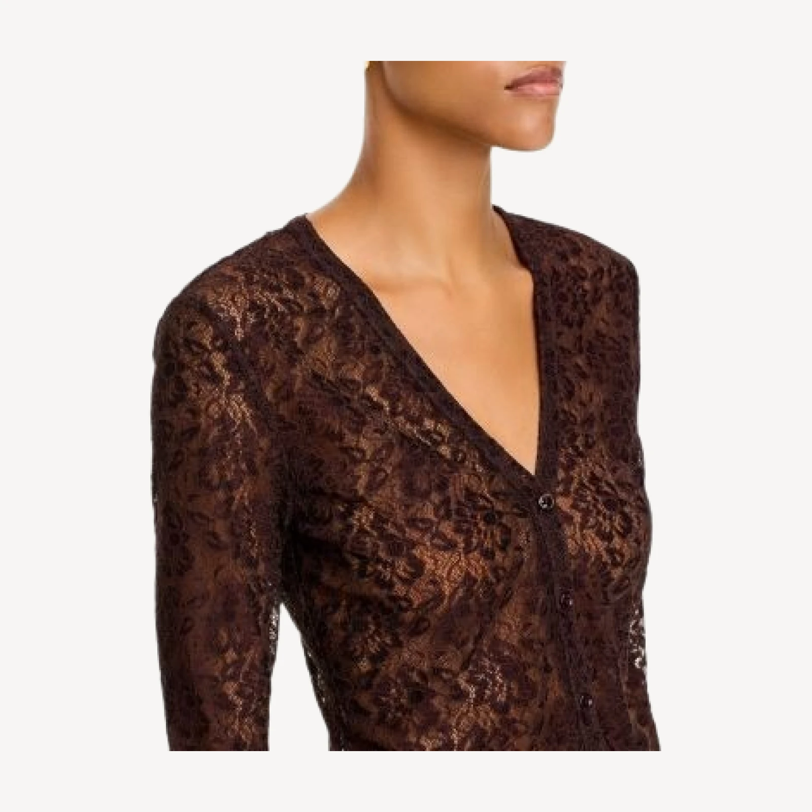 Frame Lace Cameo Sheer Button Front Top