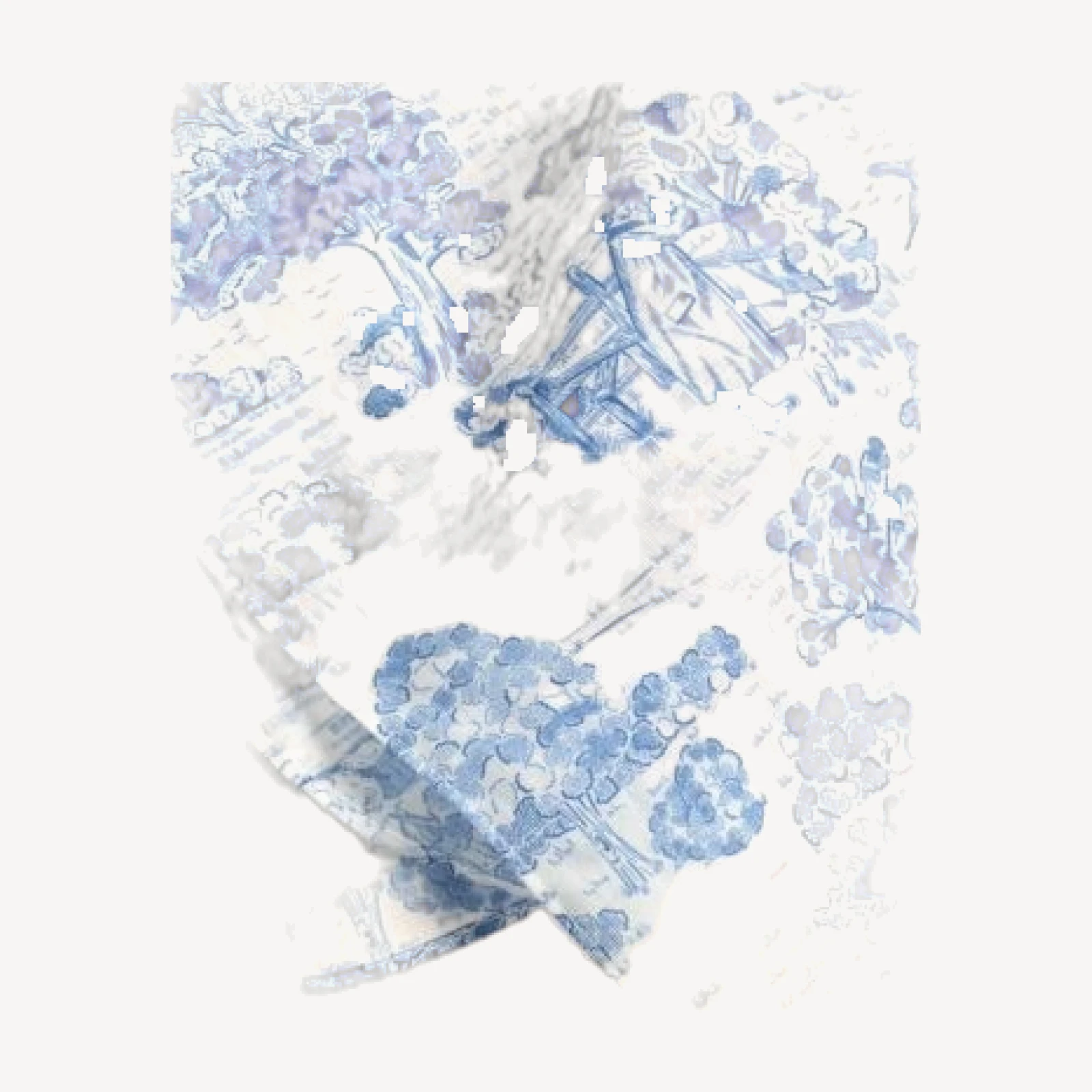 Barbour Wisteria Cotton Scarf