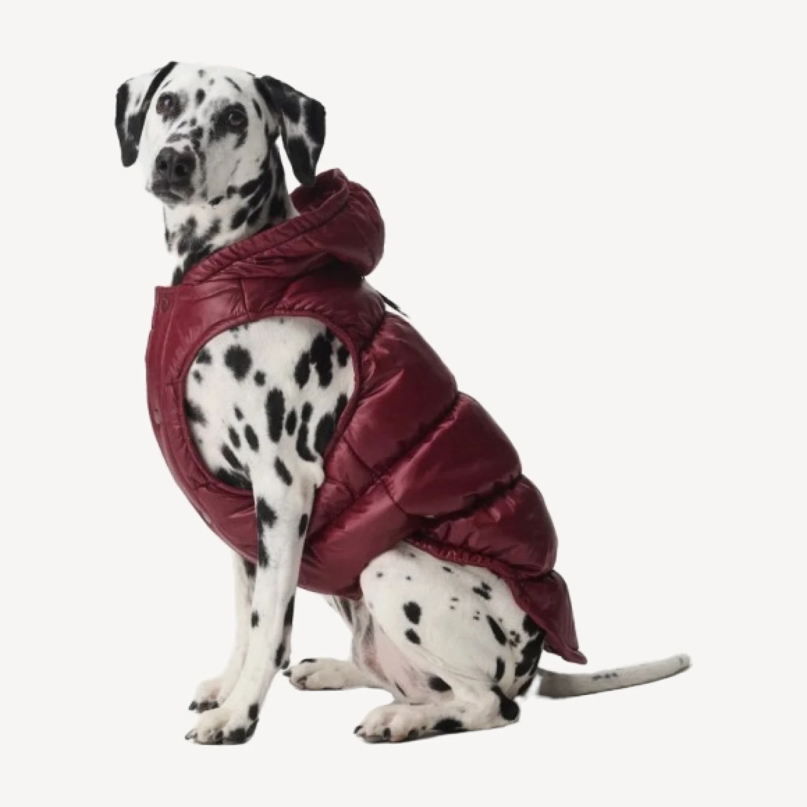 The Super Ruff Puff™ - Hi-Gloss