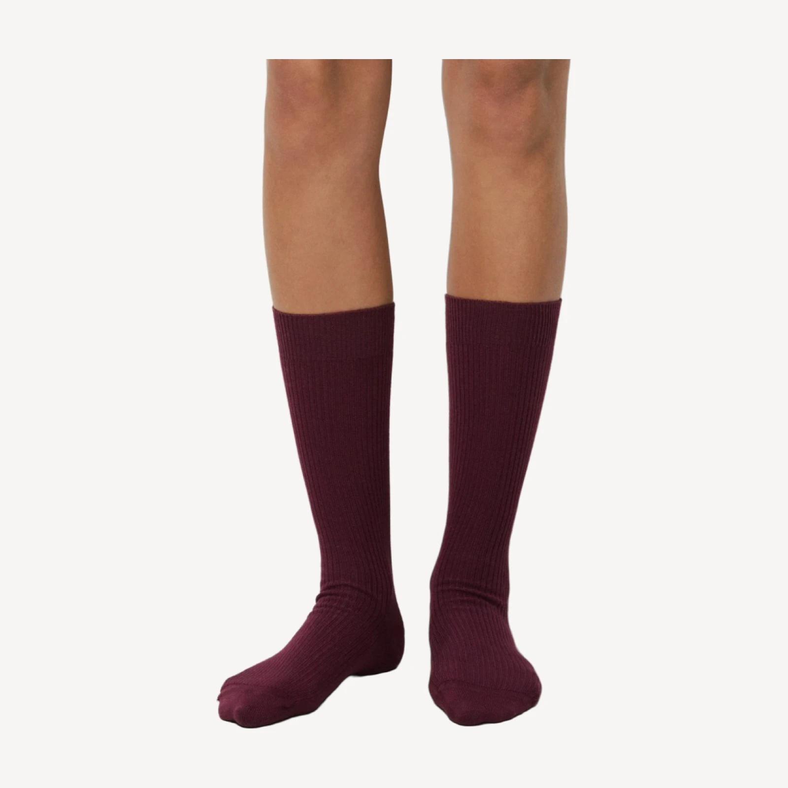 Daily Rib Mid-Calf Sock 3-Pack