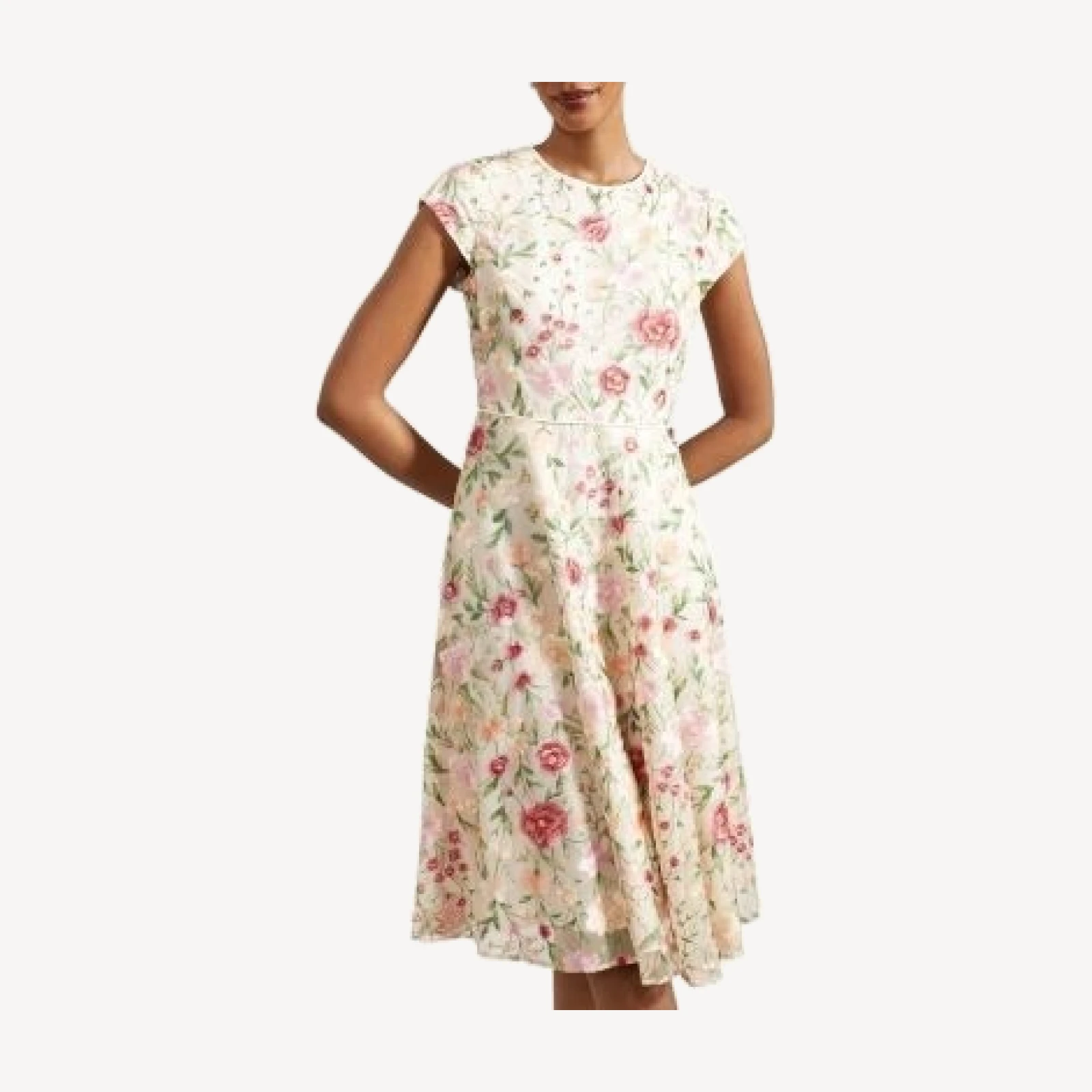 Hobbs London Tia Floral Embroidered Dress