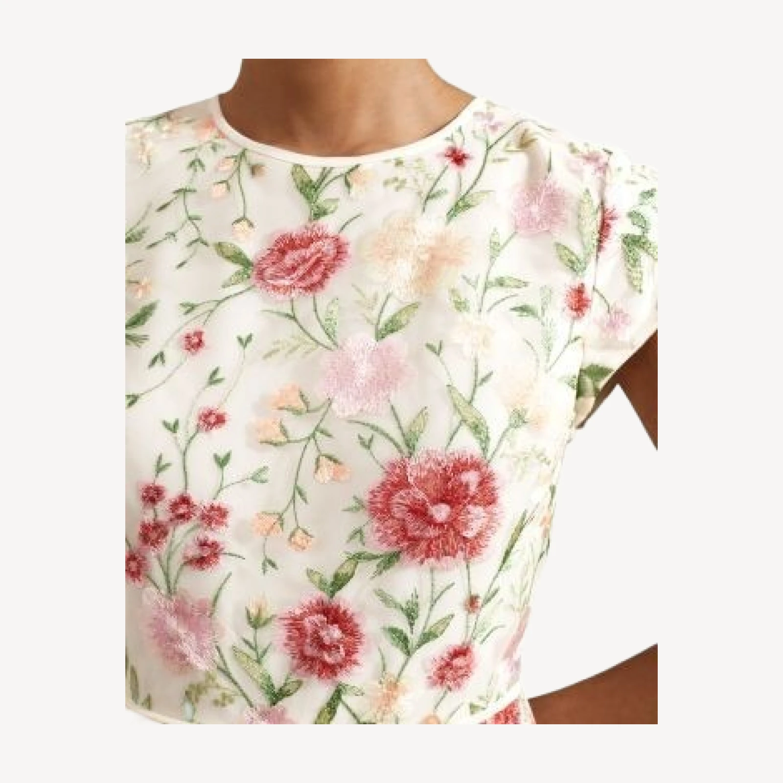 Hobbs London Tia Floral Embroidered Dress