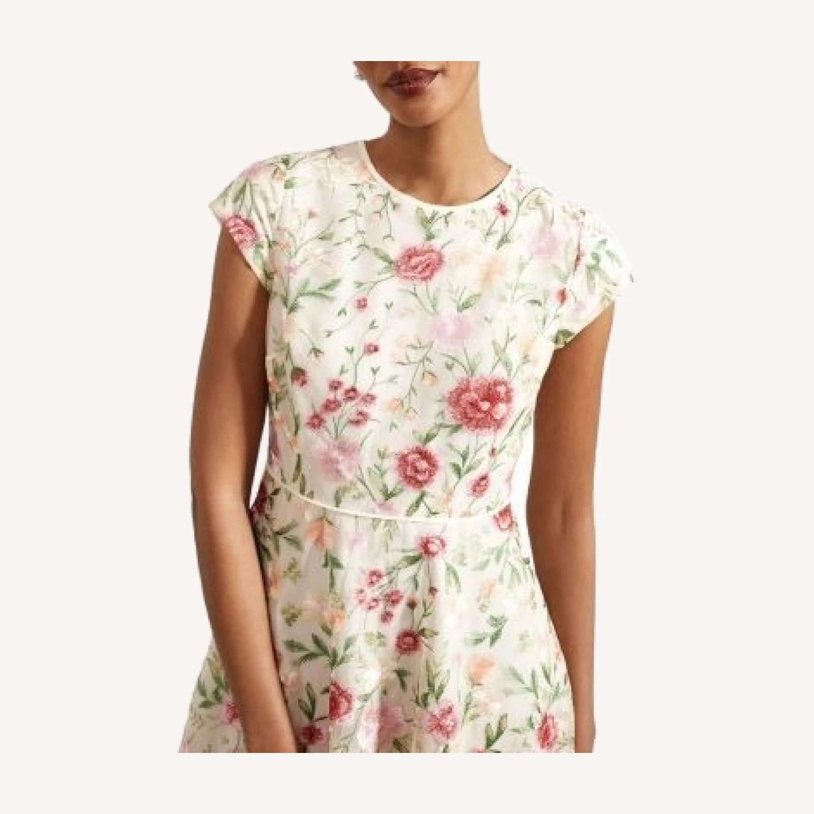 Hobbs London Tia Floral Embroidered Dress