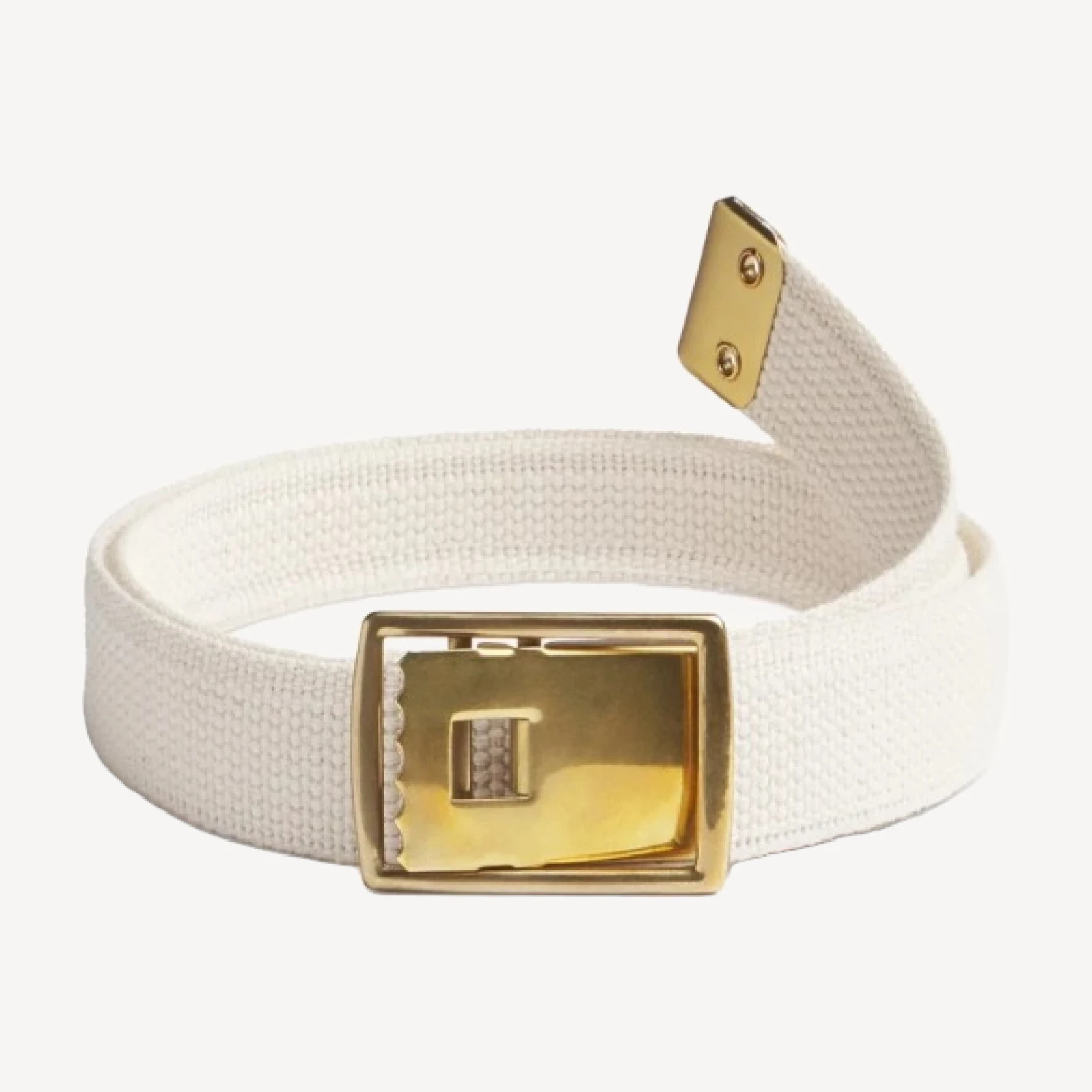 Holdfast Web Belt