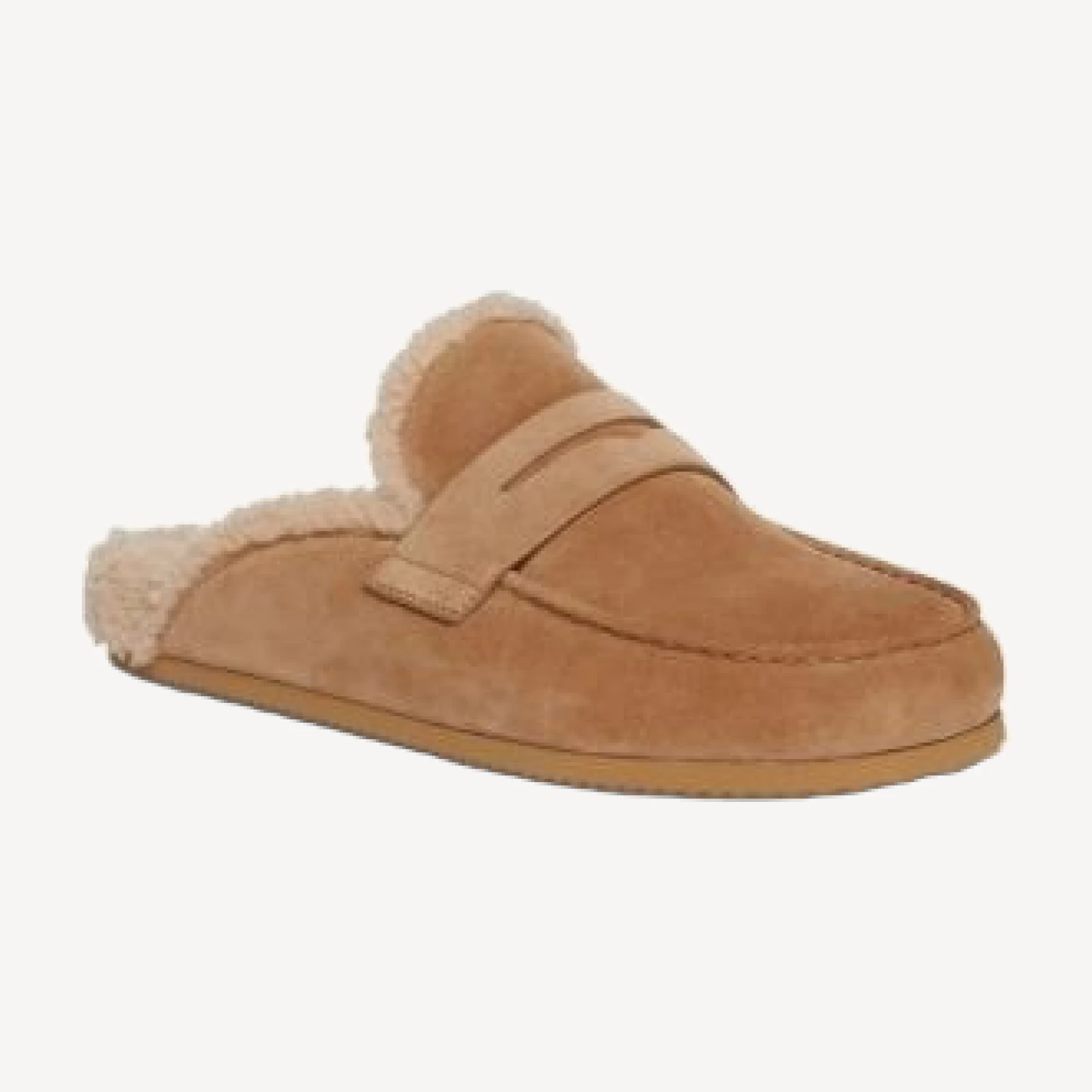 Paige Women's Wynn Suede Shearling Lined Mules