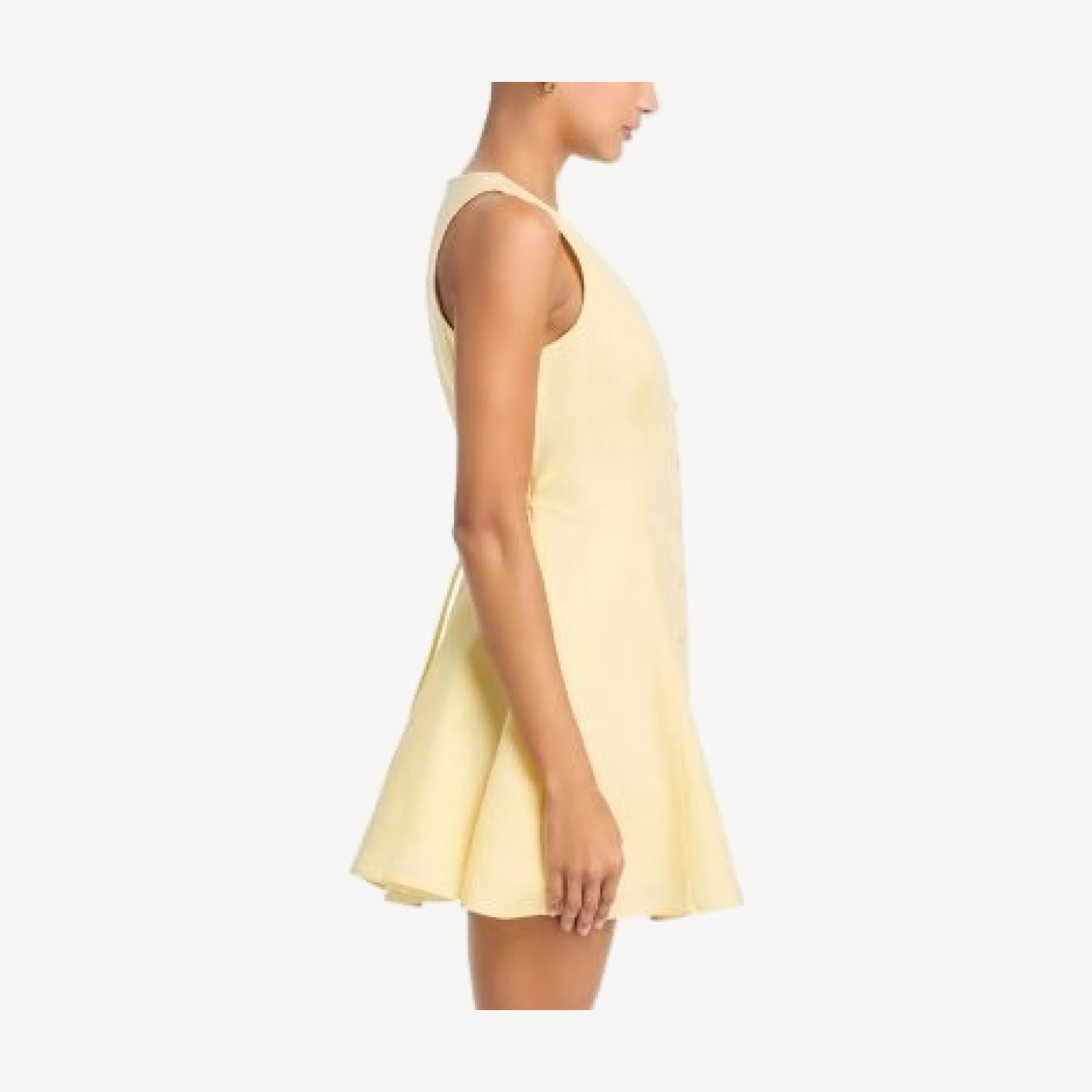 Paige Raye Mini Dress