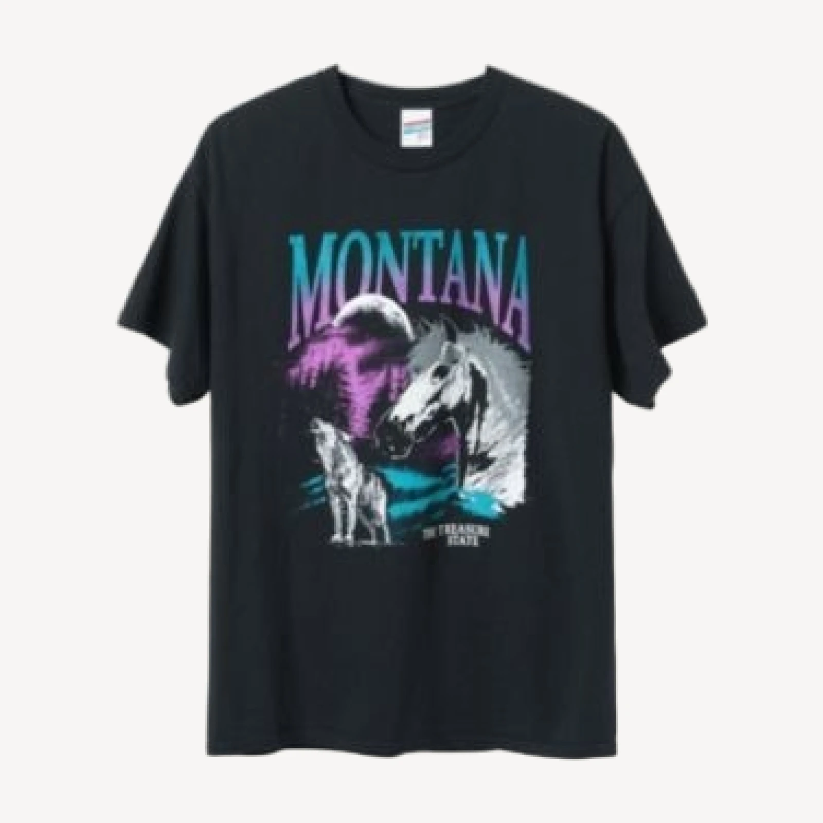 Junk Food Clothing Unisex Montana Flea Market Tee