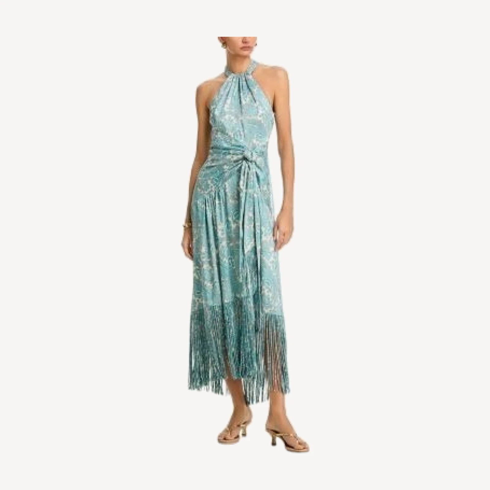 Cinq a Sept Teresa Hendrix Paisley Dress