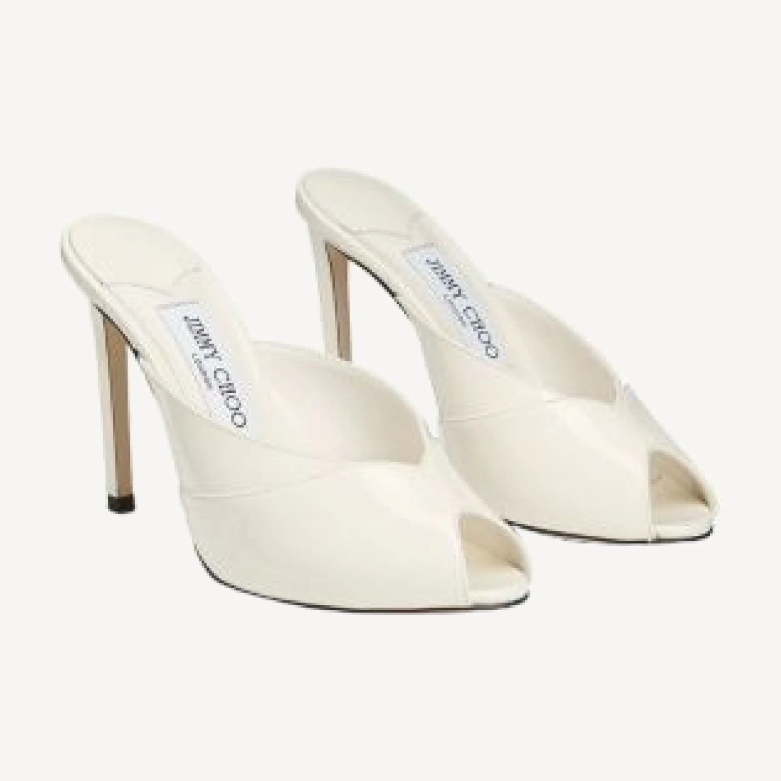 Jimmy Choo Women's Brigitte 100 Mule Pumps