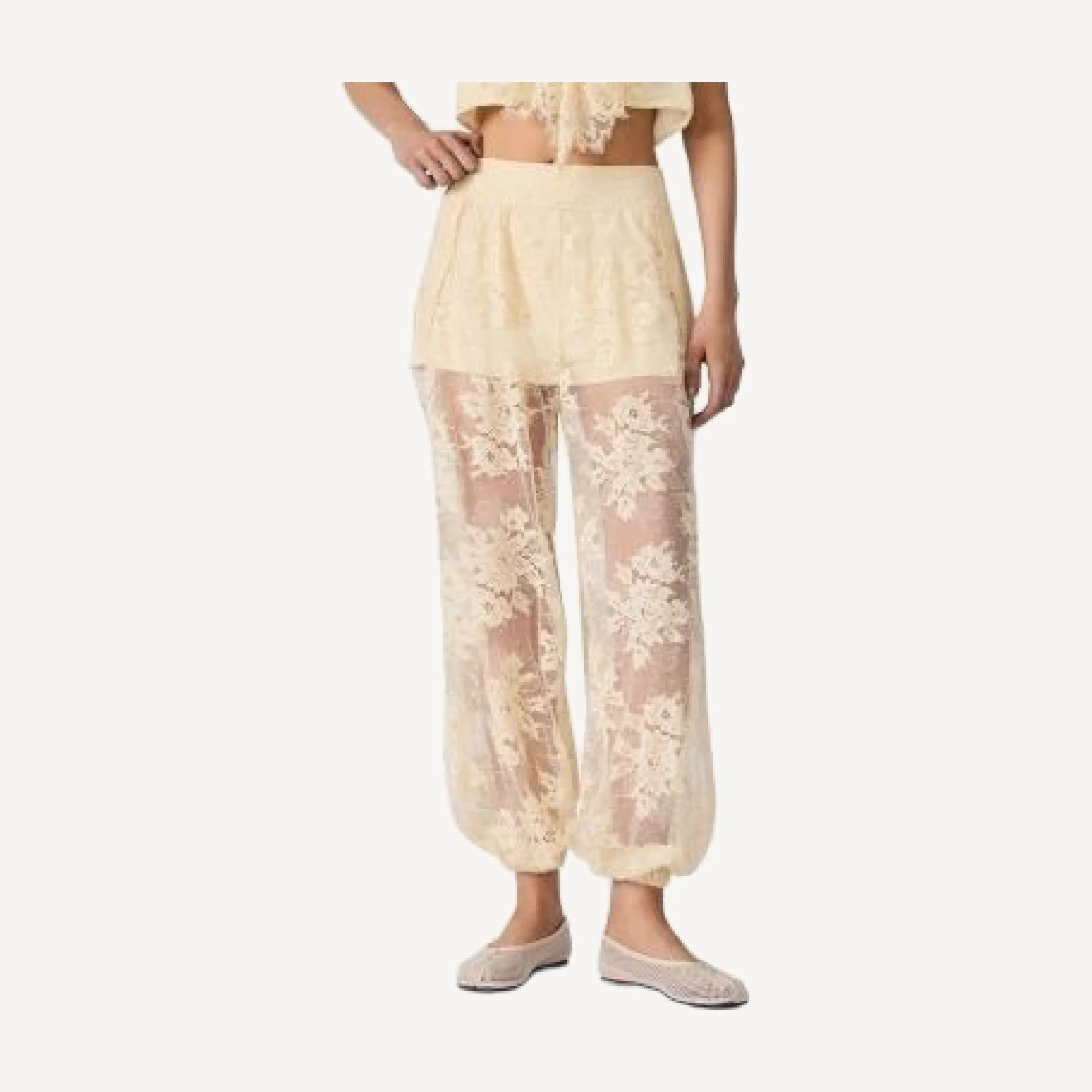 Steve Madden Faya Pants