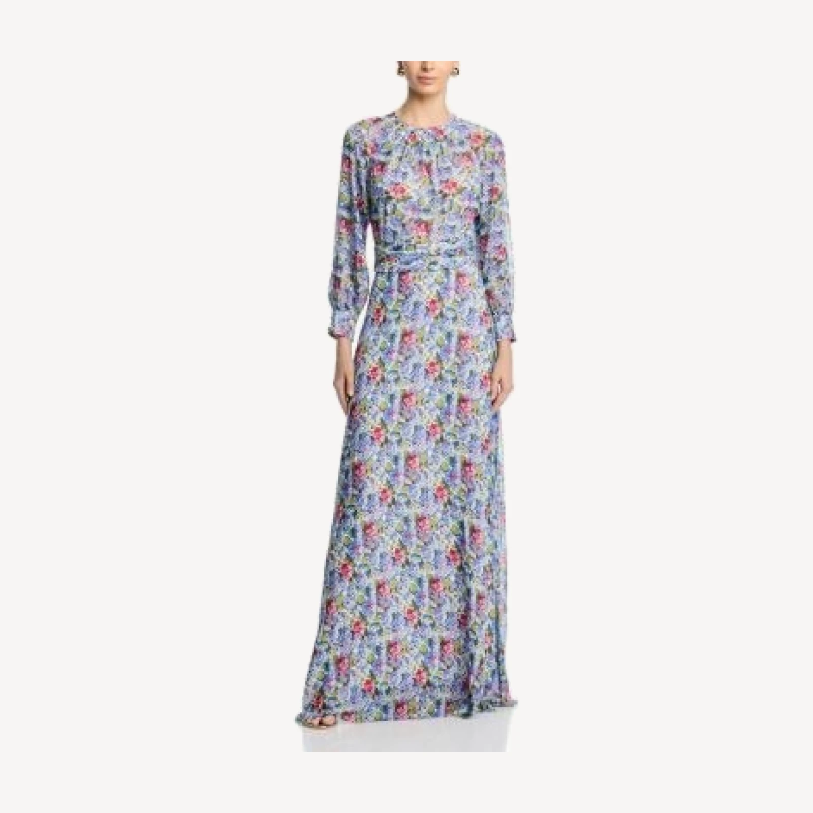 Teri Jon by Rickie Freeman Chiffon Long Sleeve Pleated Gown