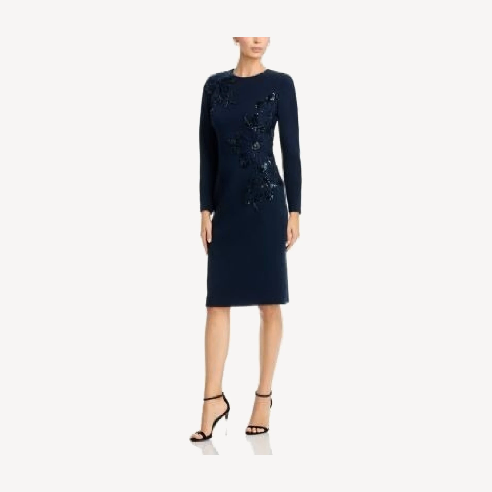 Teri Jon by Rickie Freeman Sequin Floral Applique Sheath Dress