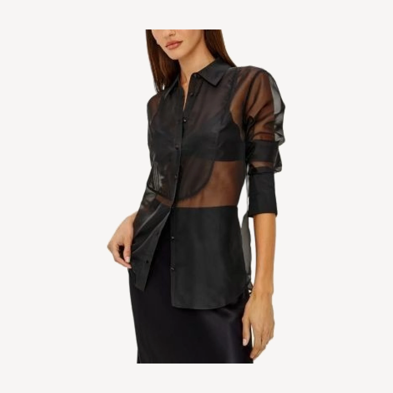 Rails Bretton Sheer Collared Shirt