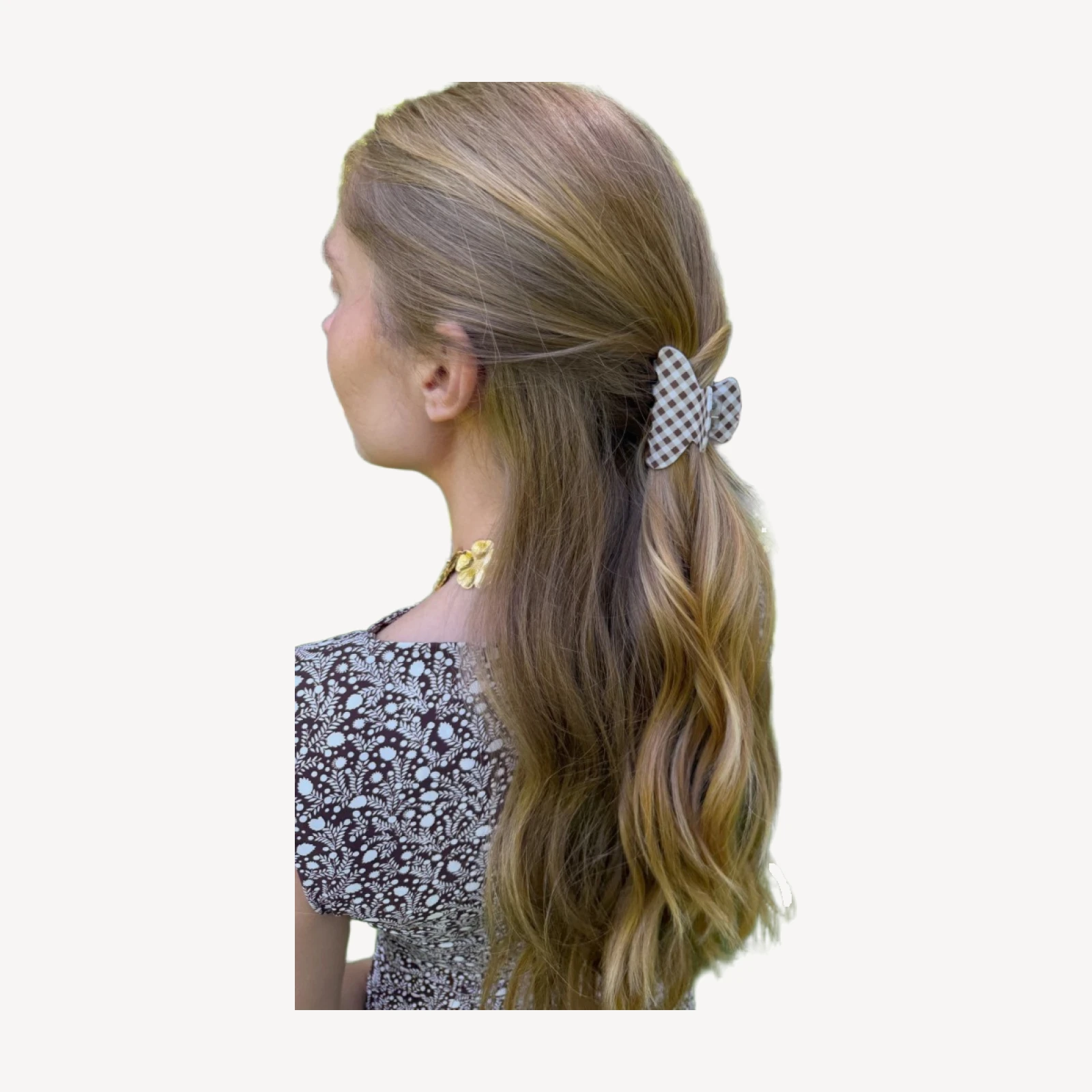 Hill House x Wet Brush Small Claw Clip Set - Matte Bluebell Waltz and Brown Gingham
