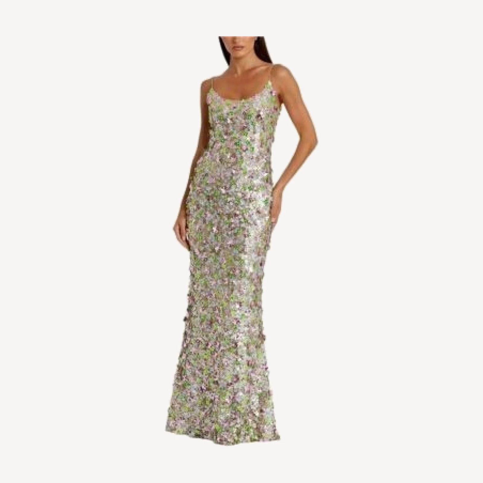 Mac Duggal Sleeveless Floral Paulette Embellished Mesh Gown
