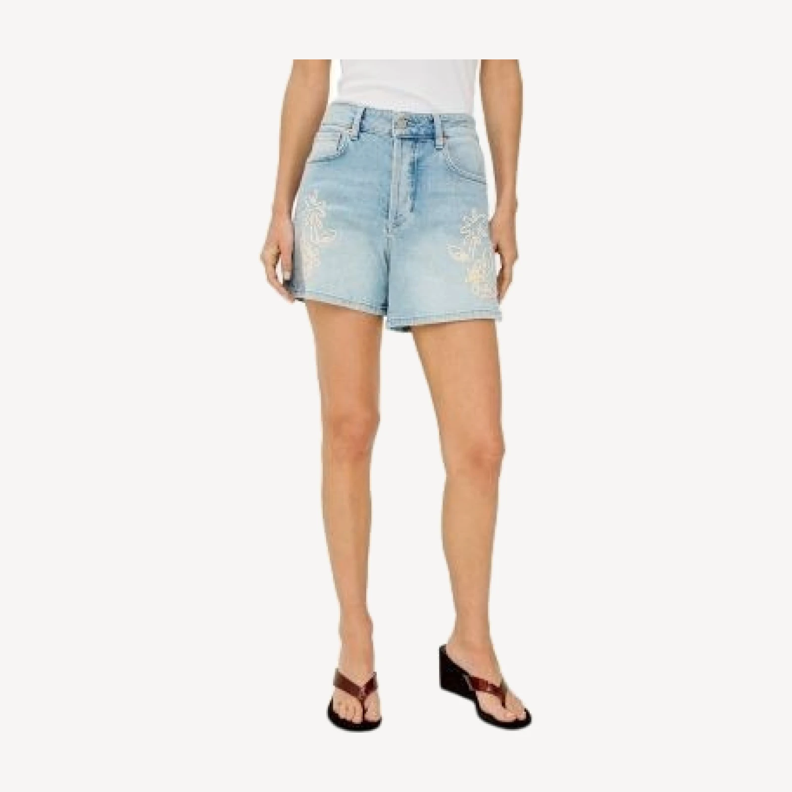 Rails Mesa Embroidered Shorts