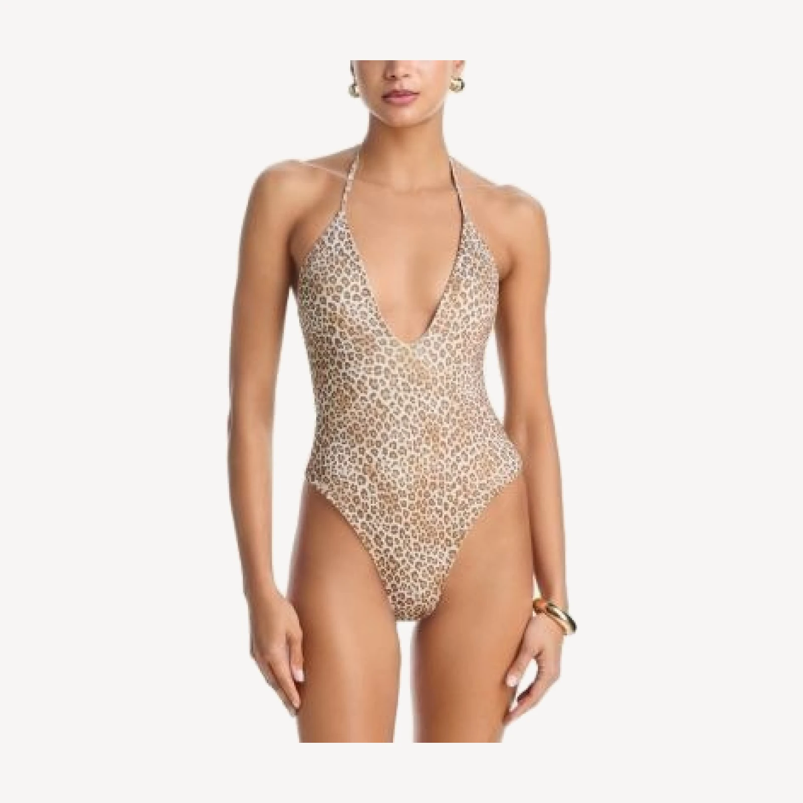 Ramy Brook Electra Leopard One Piece Swimsuit