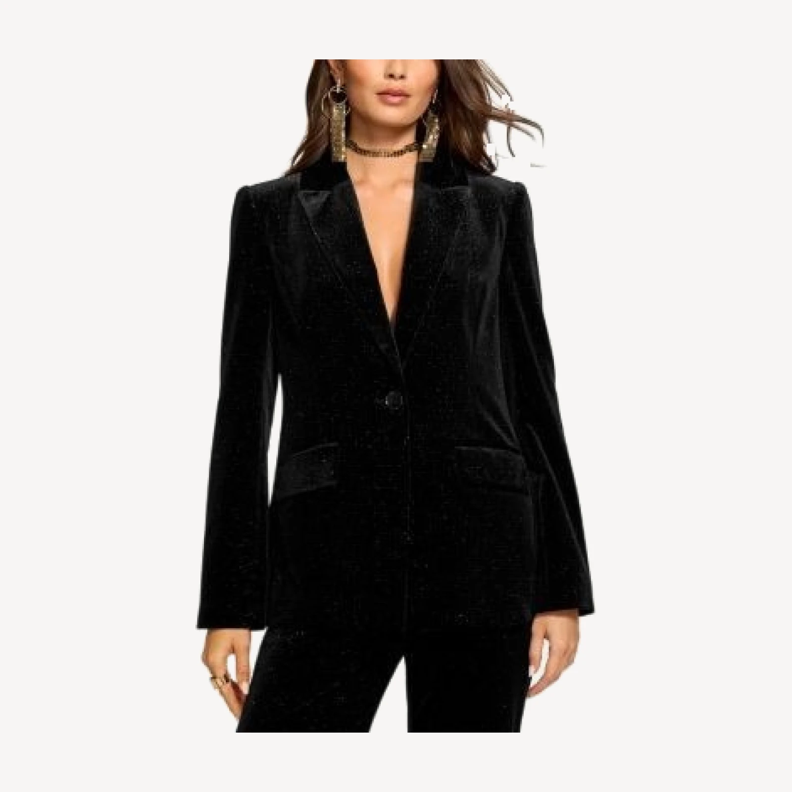 Ramy Brook Echo Single Button Jacket