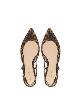 Gianvito Rossi Women's Ascent 05 Flats