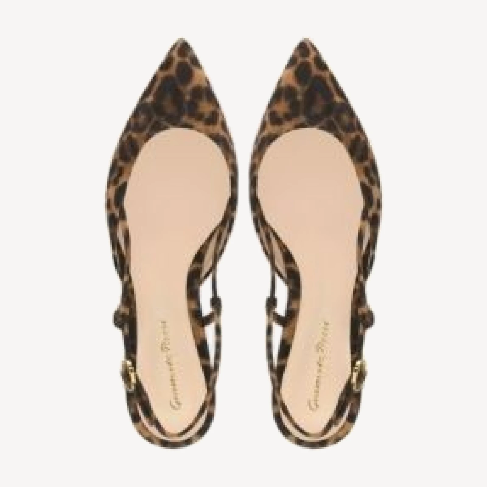 Gianvito Rossi Women's Ascent 05 Flats
