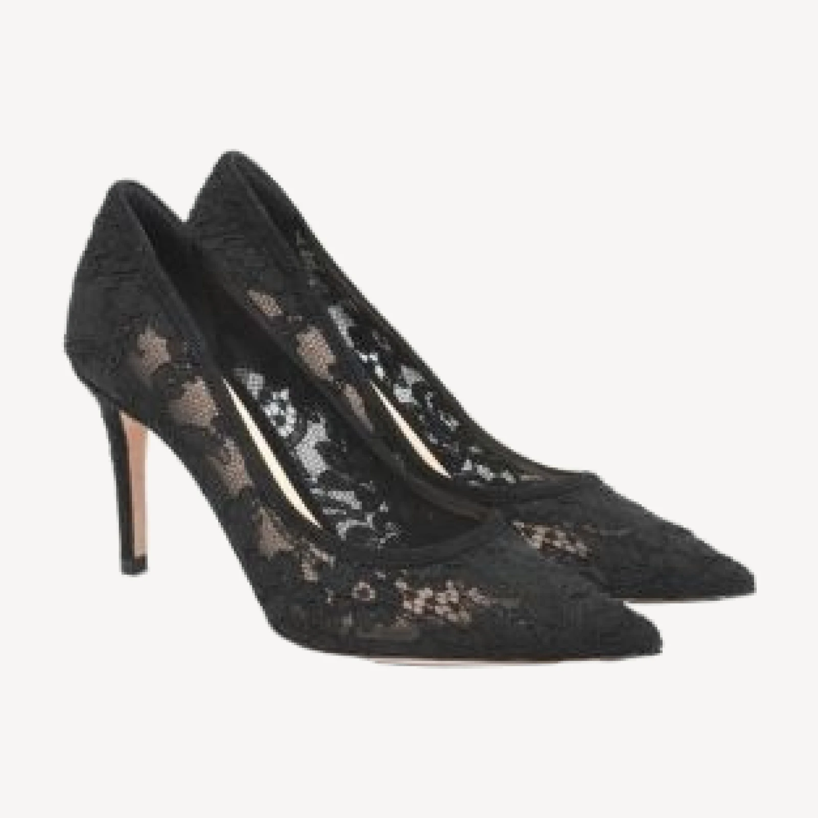 Gianvito Rossi Women's Claudia 85 Pump