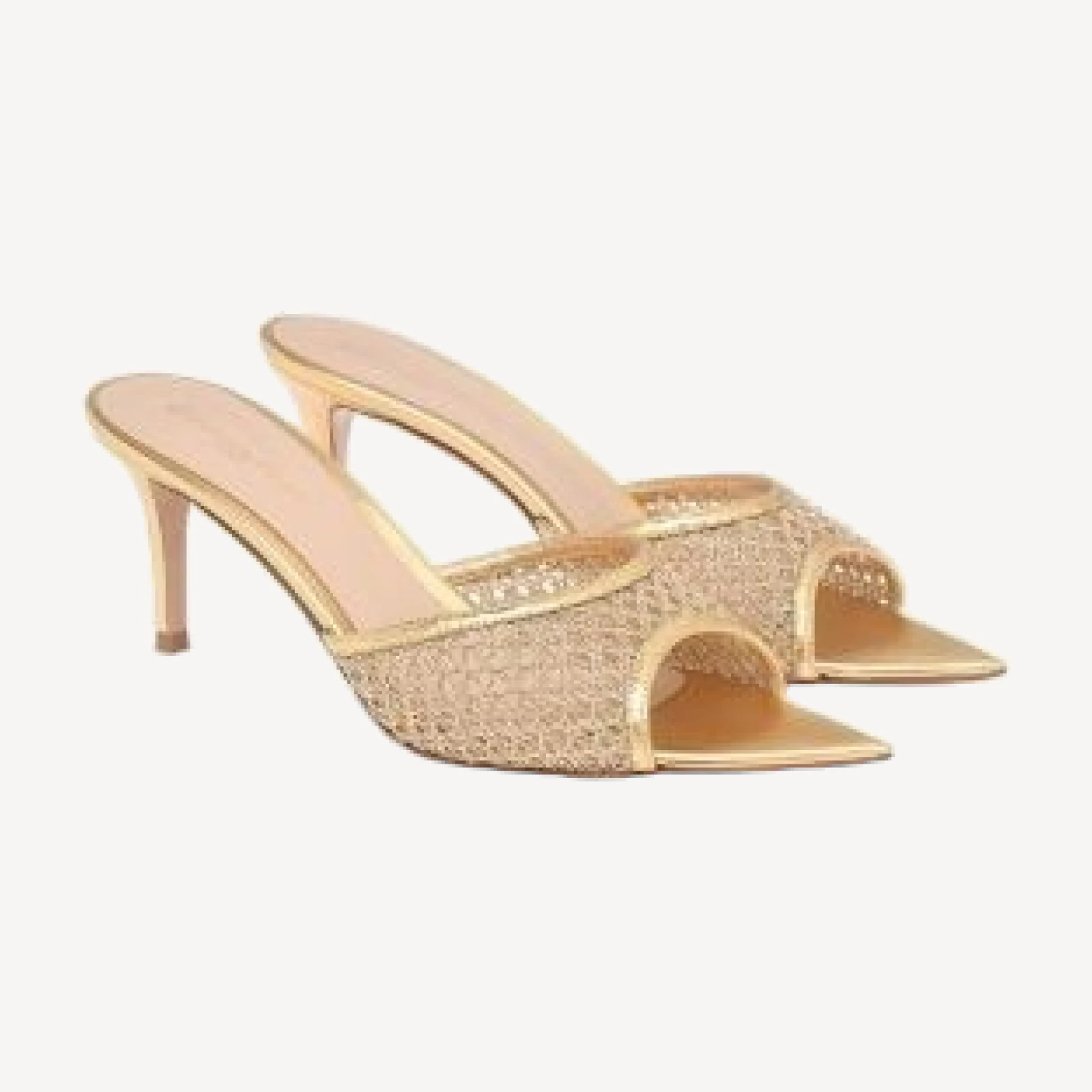 Gianvito Rossi Women's Dorotea 70 Mule