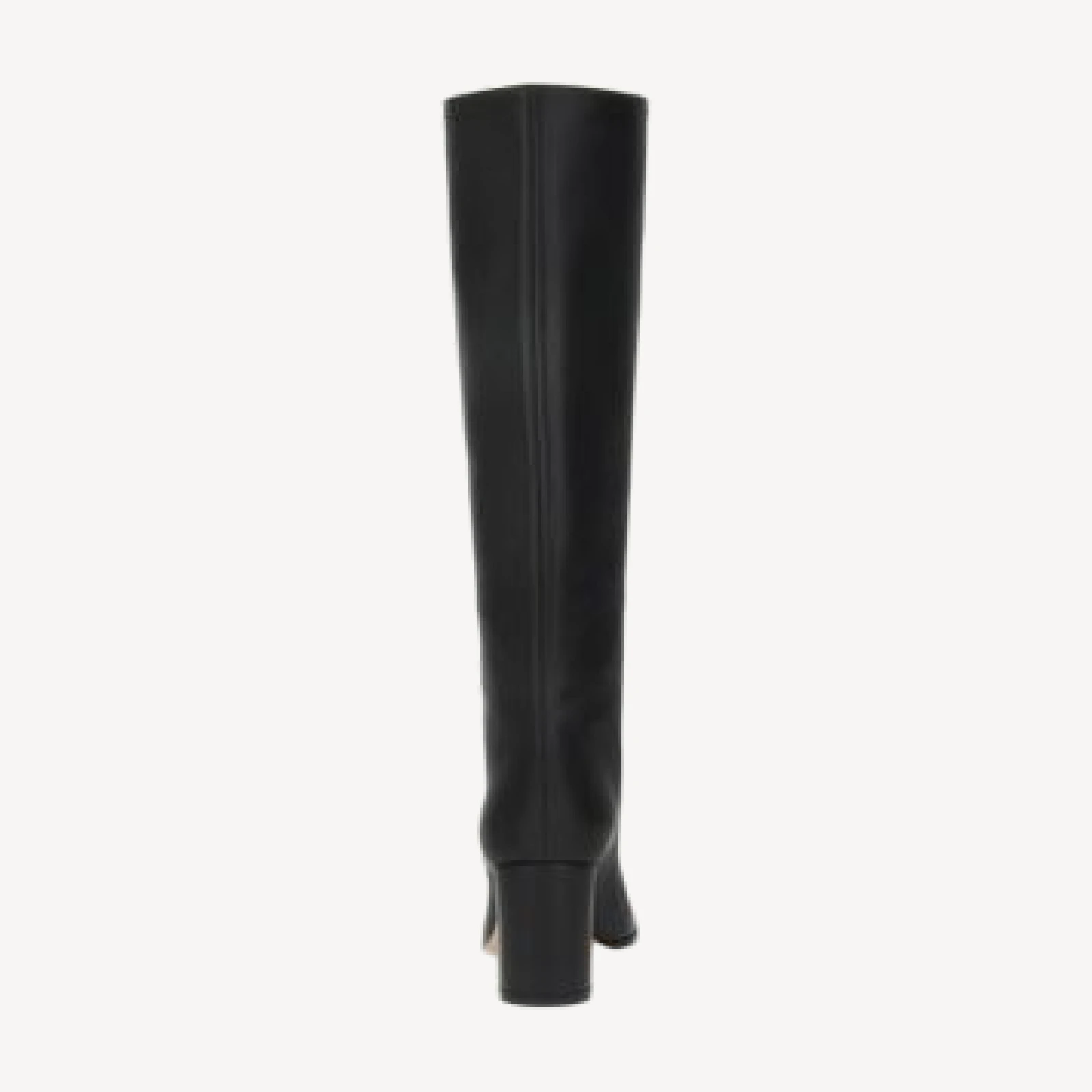 Gianvito Rossi Women's Dana Boots