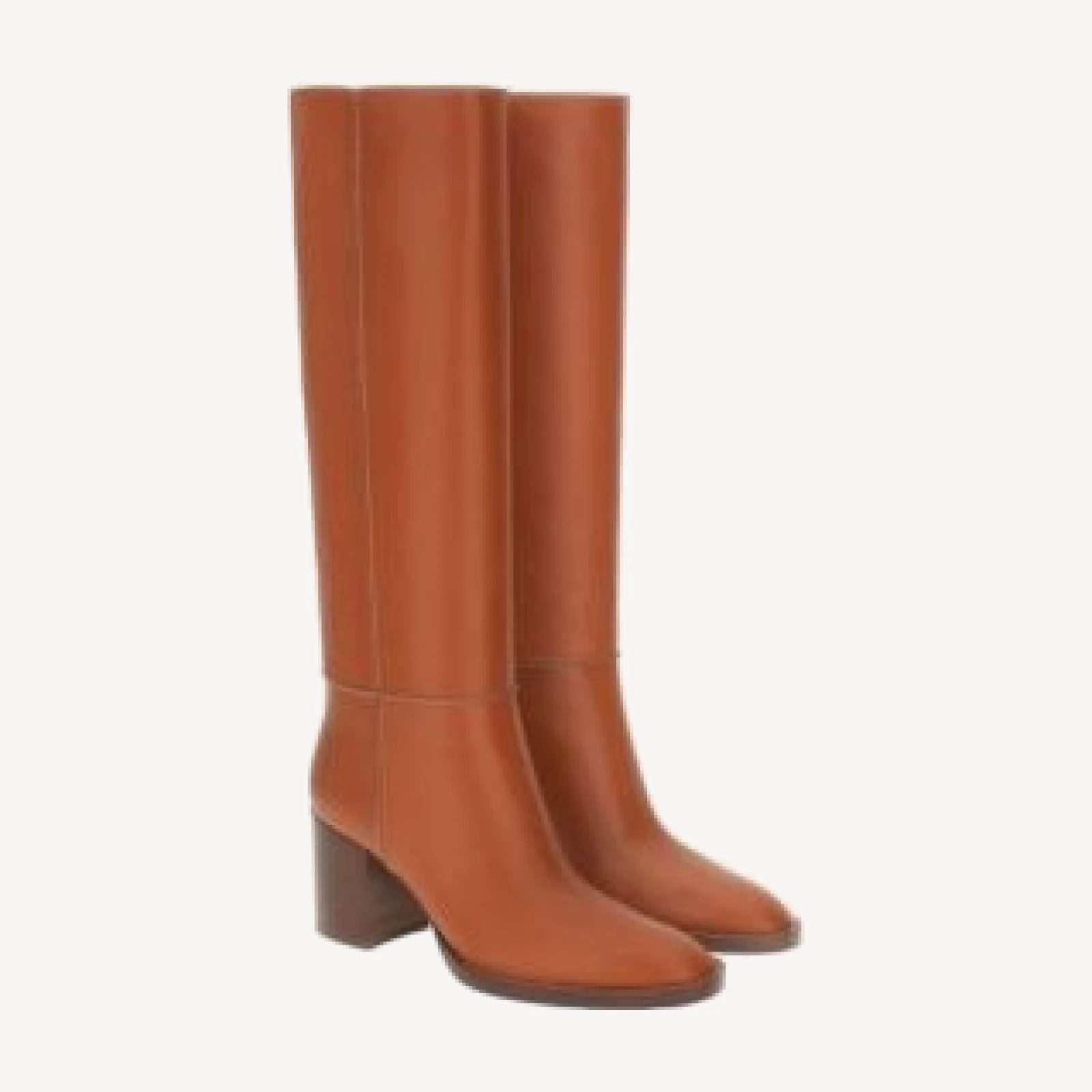 Gianvito Rossi Women's Etrier Boots