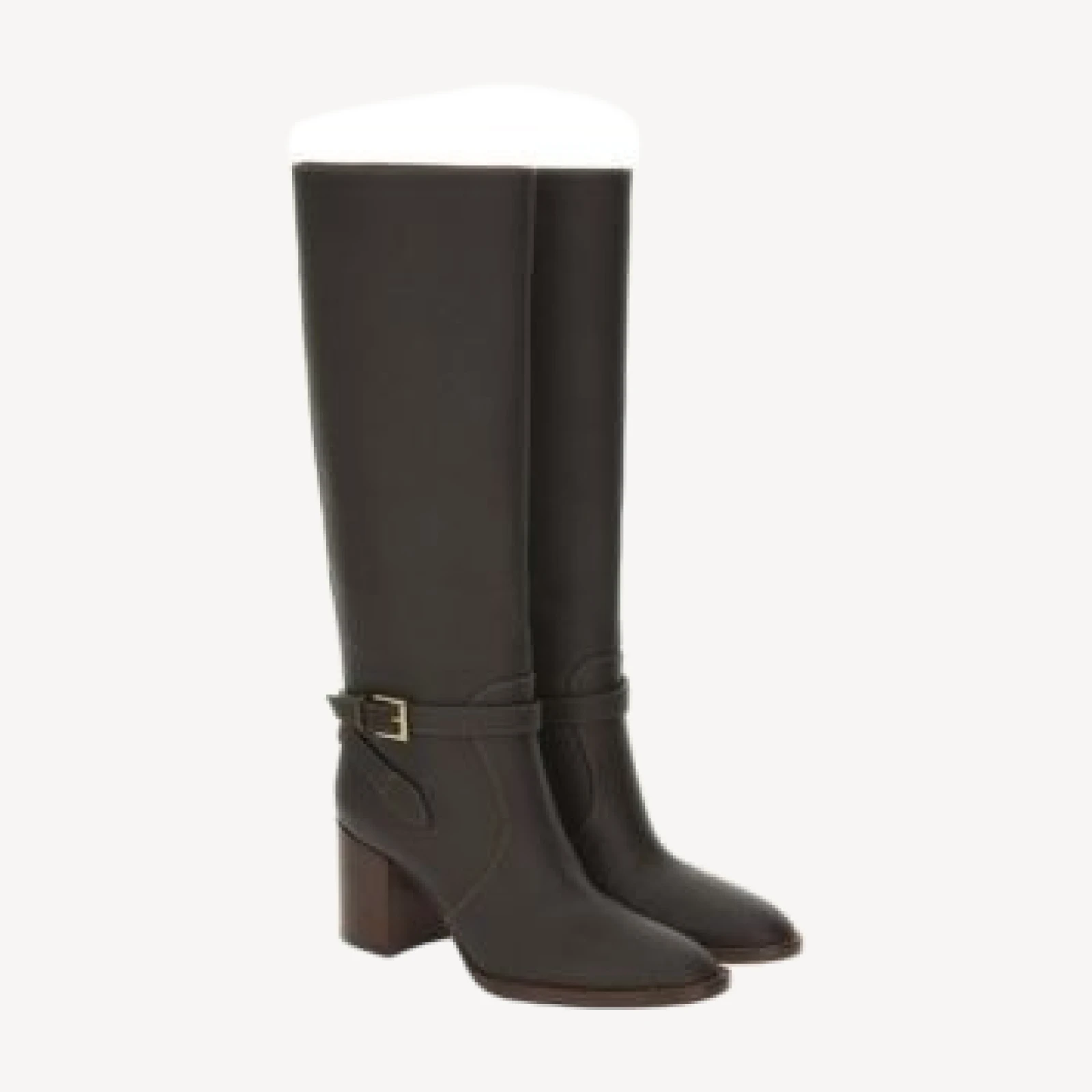 Gianvito Rossi Women's Varenne 70 Boots