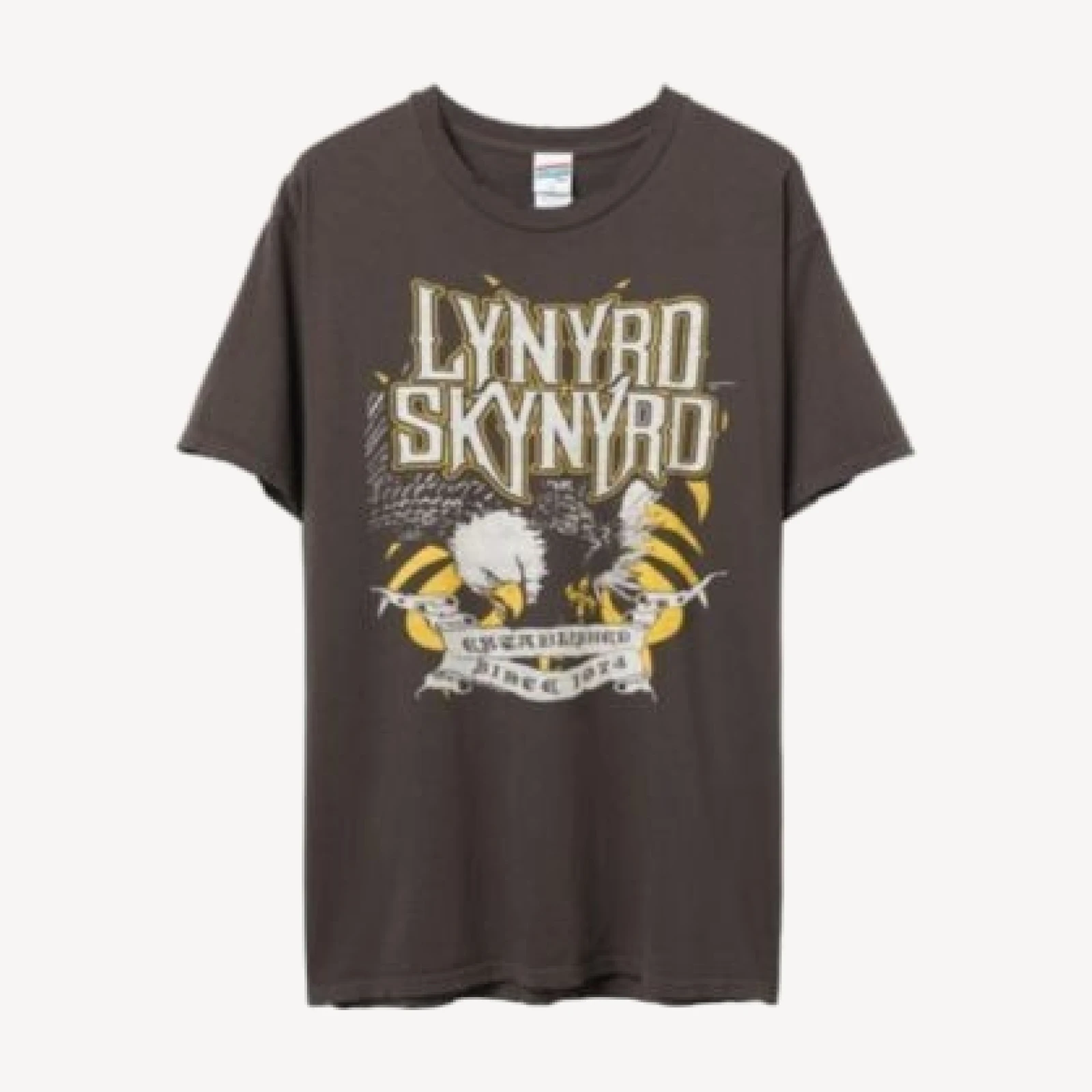 Junk Food Clothing Unisex Lynyrd Skynyrd Since 1974 Flea Market Tee