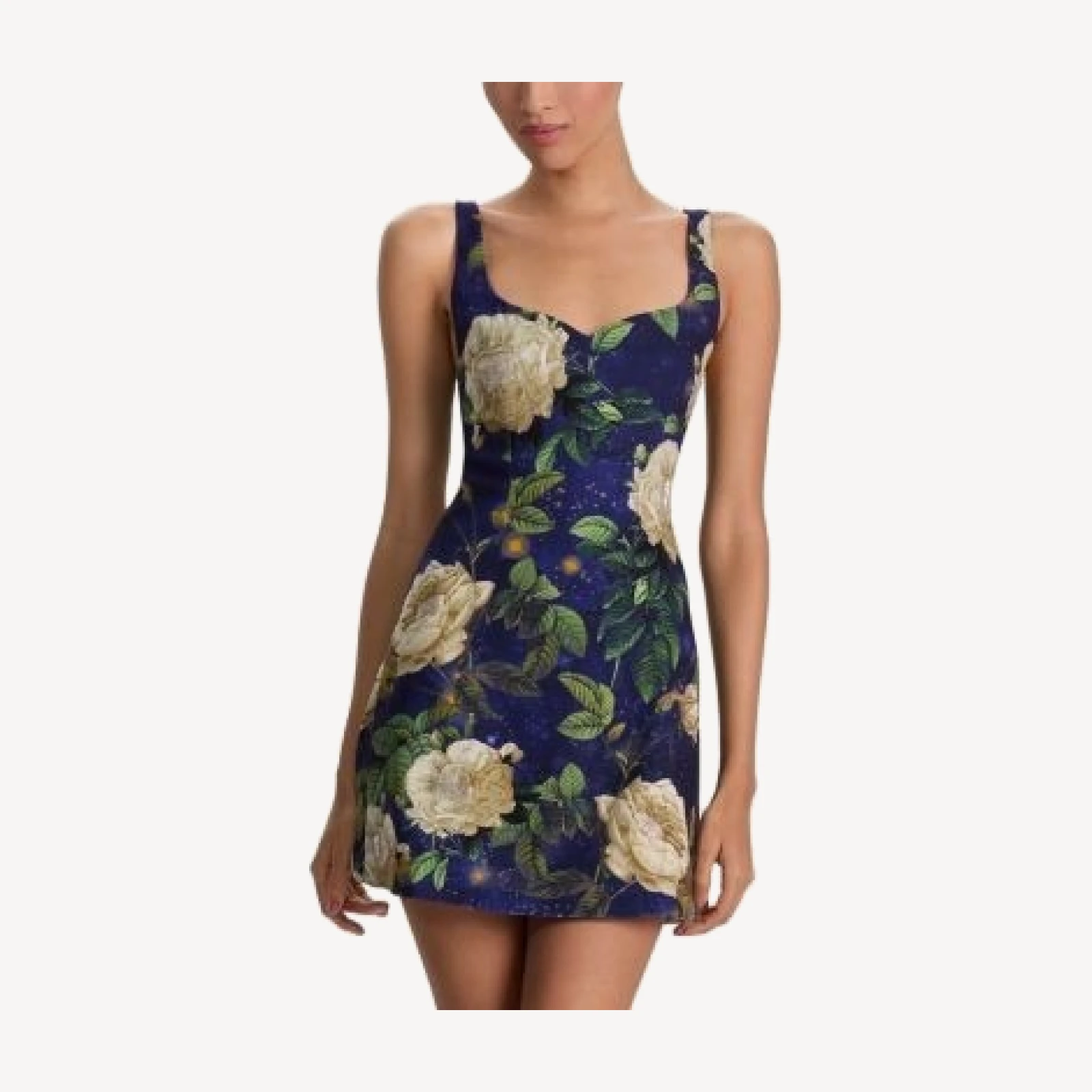Alice and Olivia Eve Sweetheart Embellished Dress