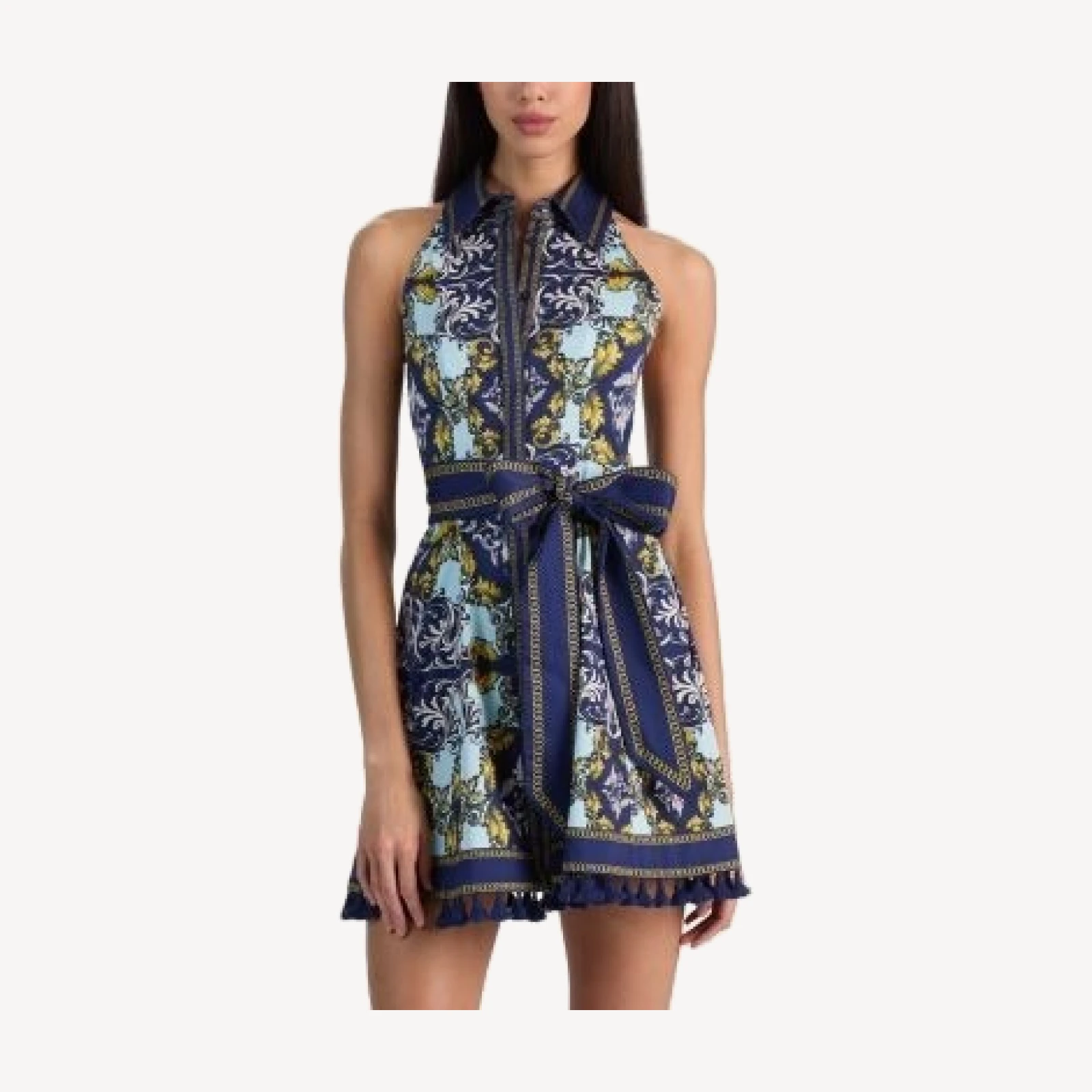 Alice and Olivia Lucy Sleeveless Mini Shirtdress