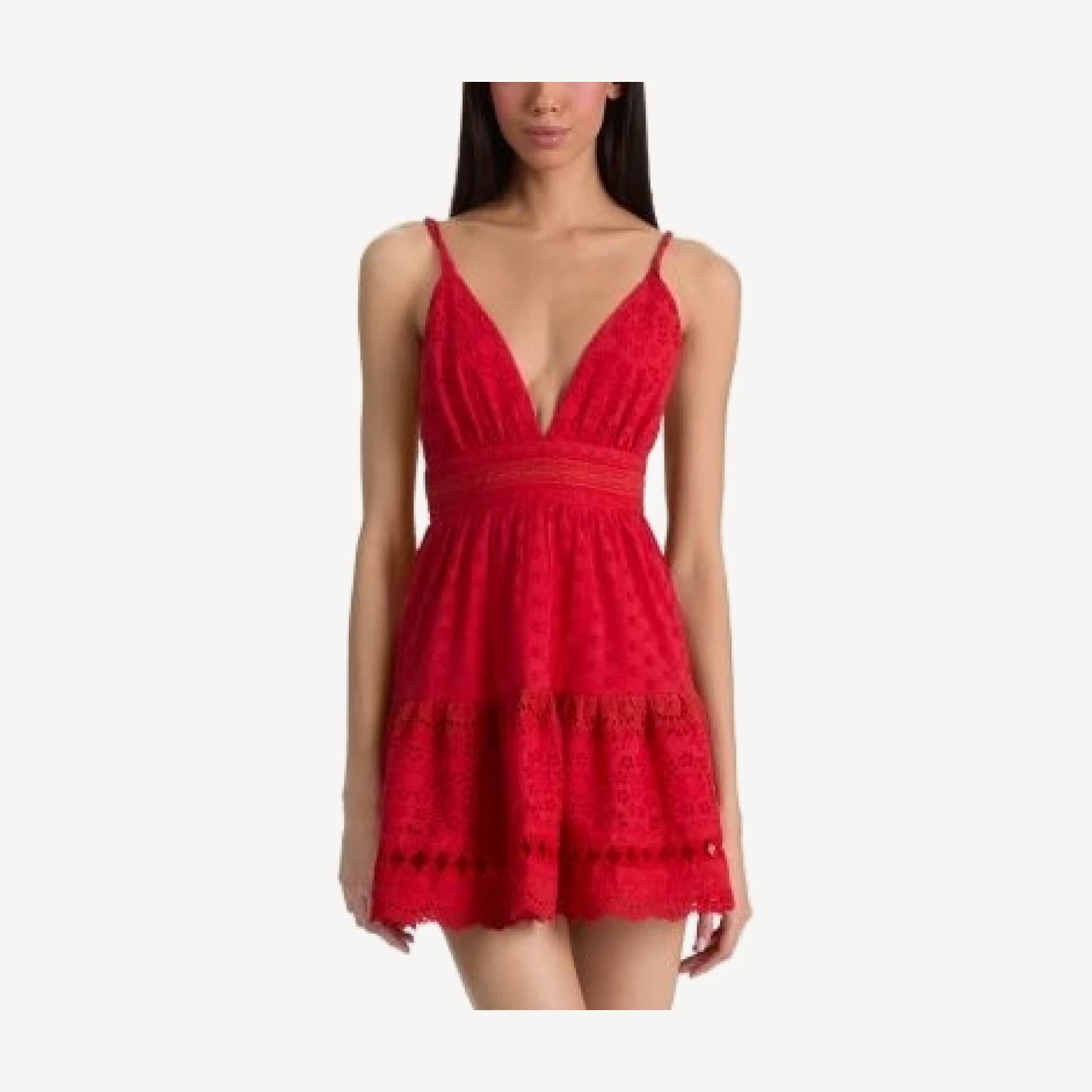 Alica and Olivia Lorene Embroidered Eyelet Mini Dress
