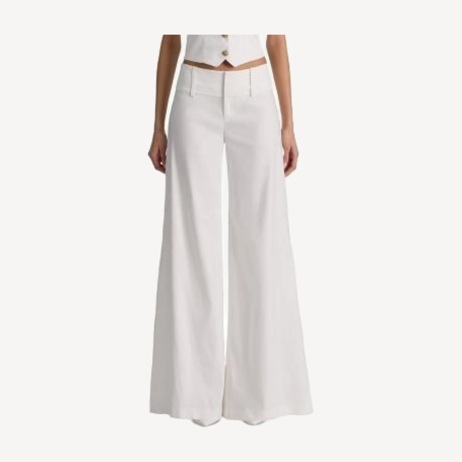 Alice and Olivia Low Rise Wide Leg Pants