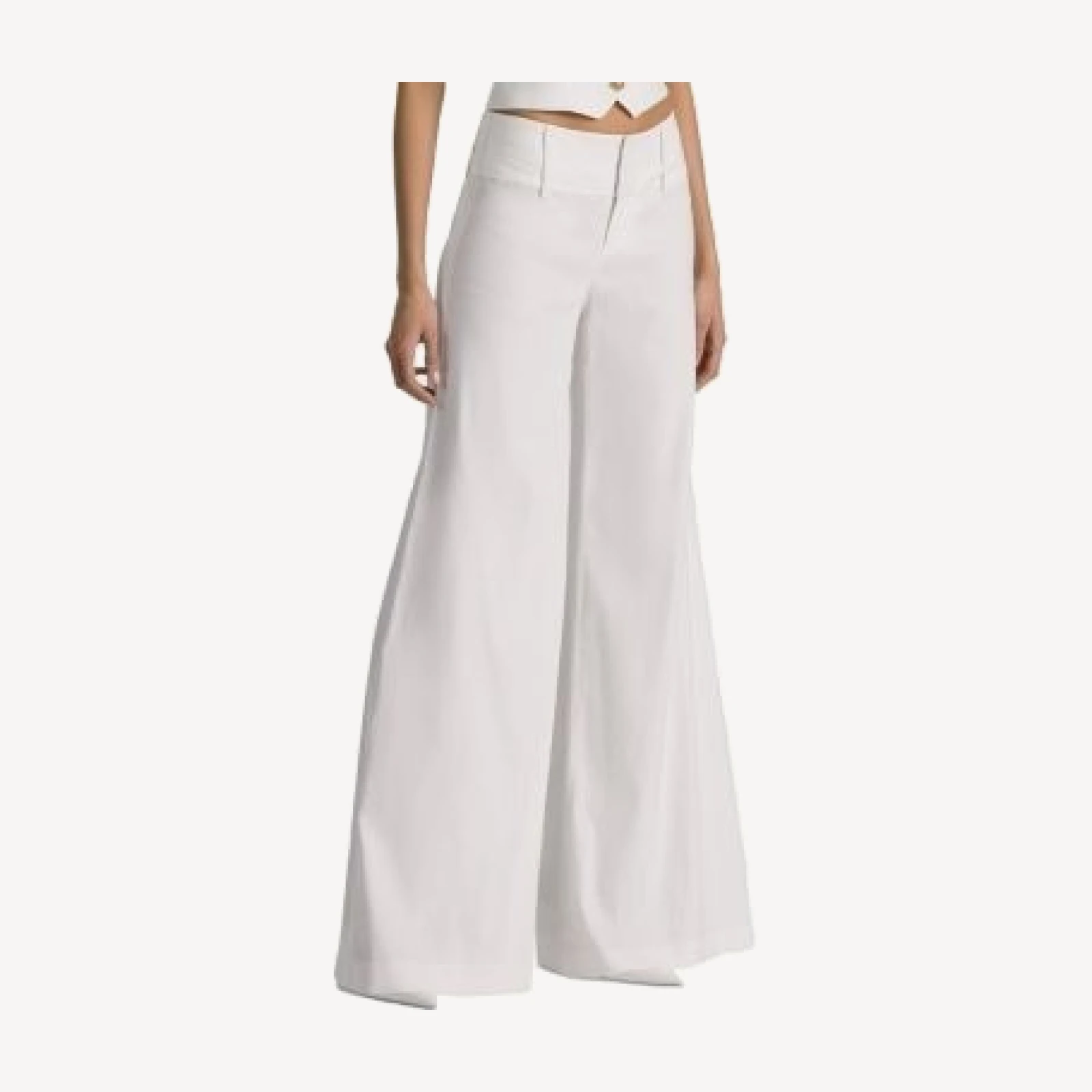 Alice and Olivia Low Rise Wide Leg Pants